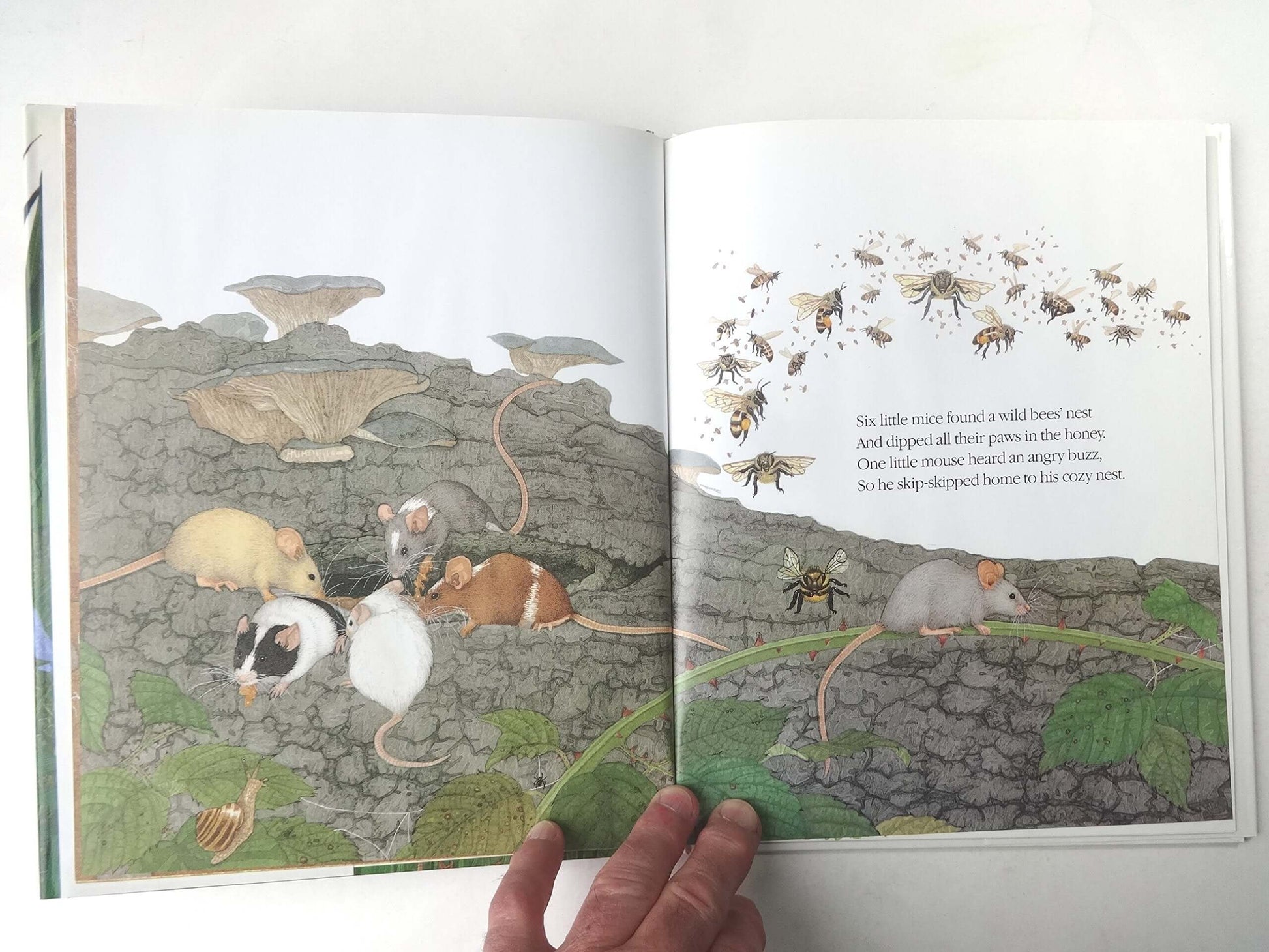 Ten Little Mice used book depot