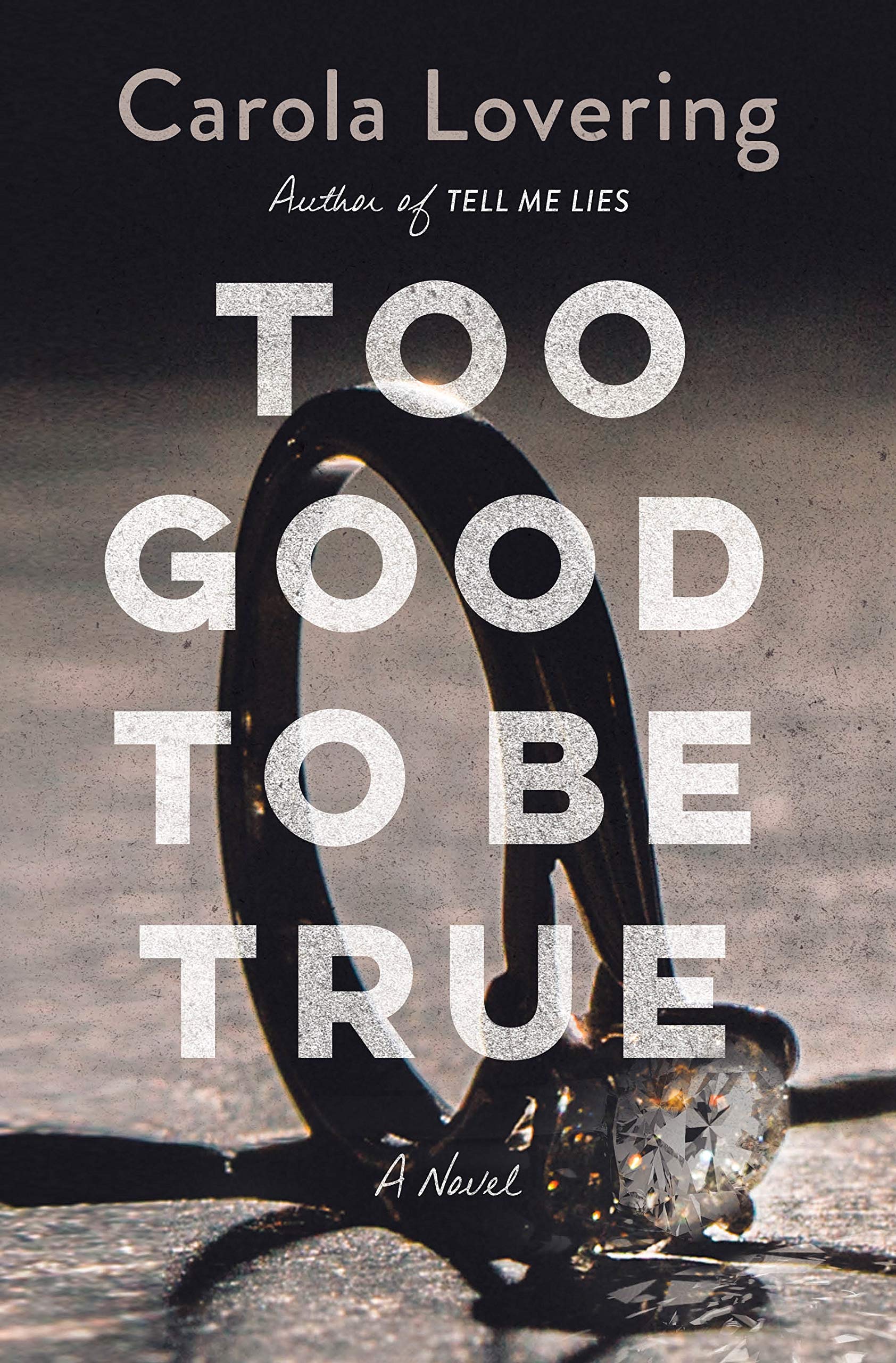 Too Good to Be True: A Novel used book depot