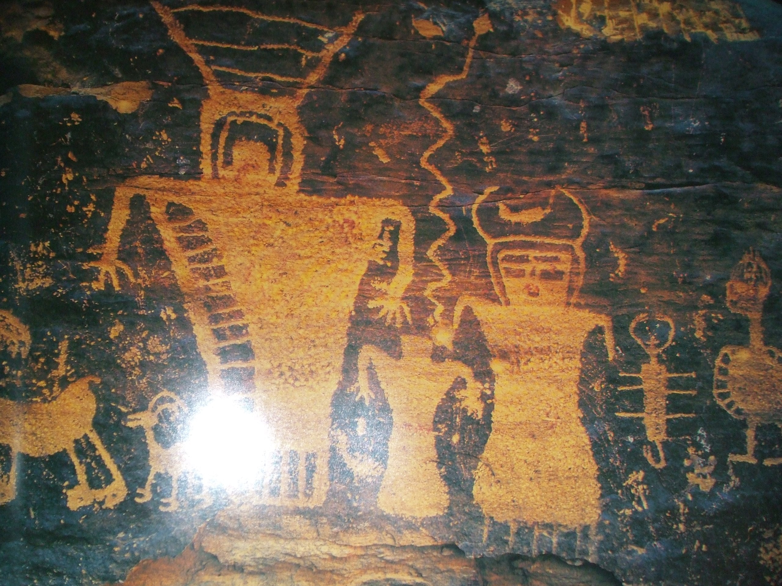 Images in Stone used book depot