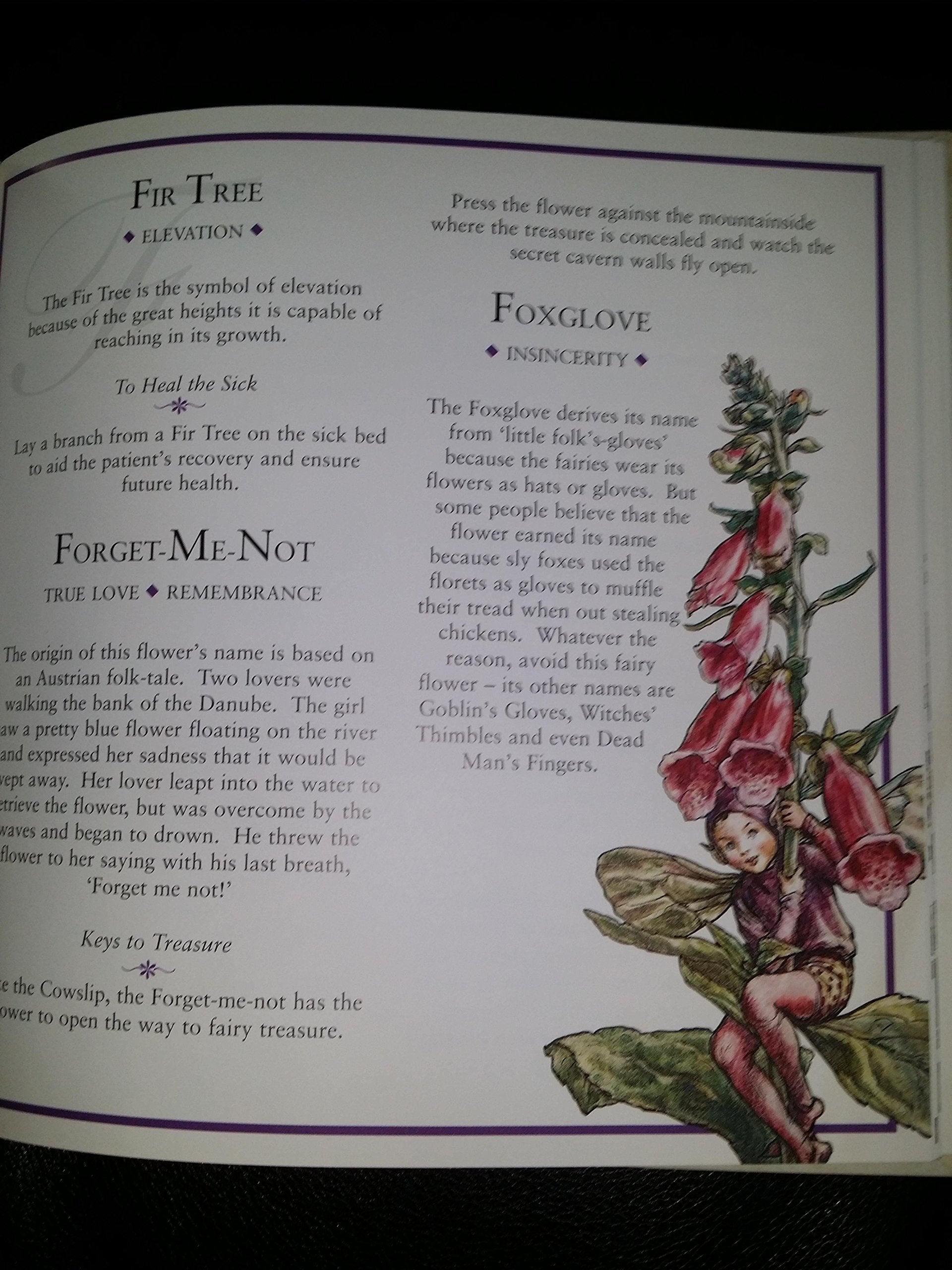 Flower Fairies: The Meaning of Flowers used book depot