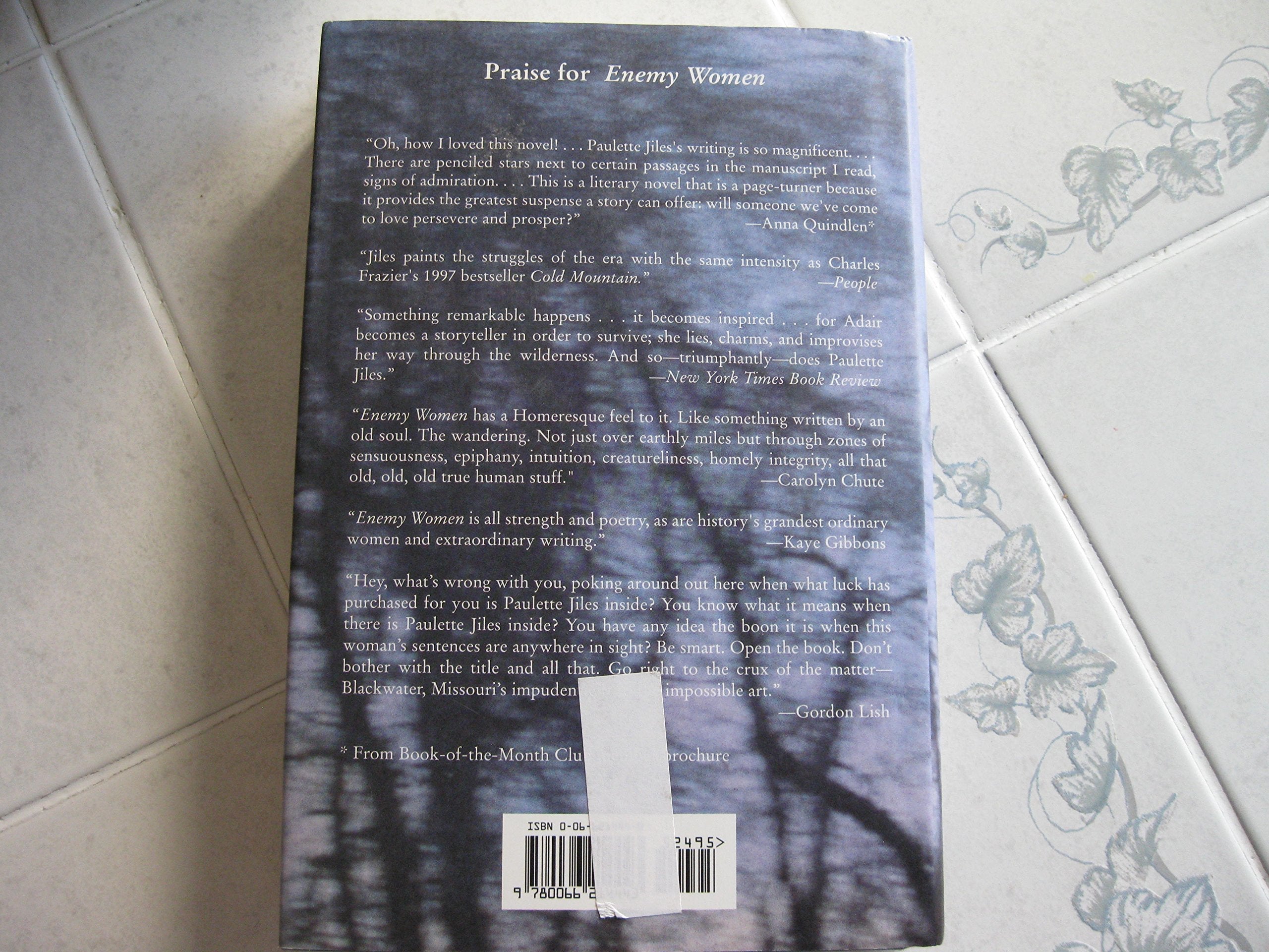 Enemy Women: A Novel used book depot