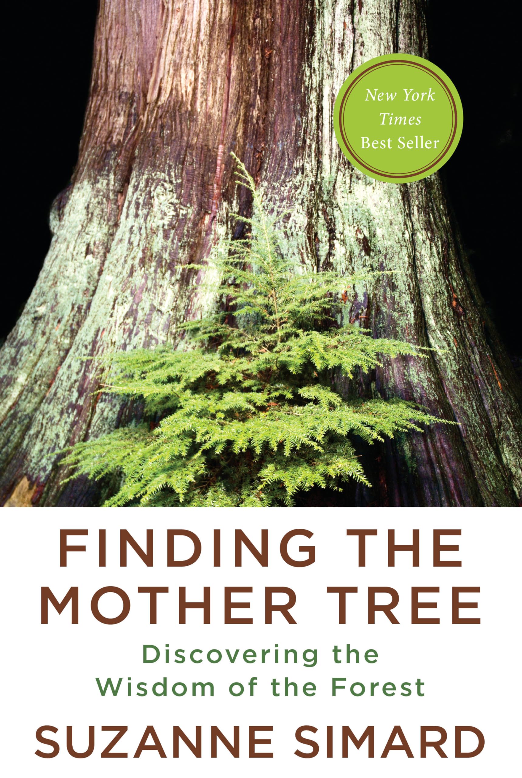 Finding the Mother Tree: Discovering the Wisdom of the Forest used book depot