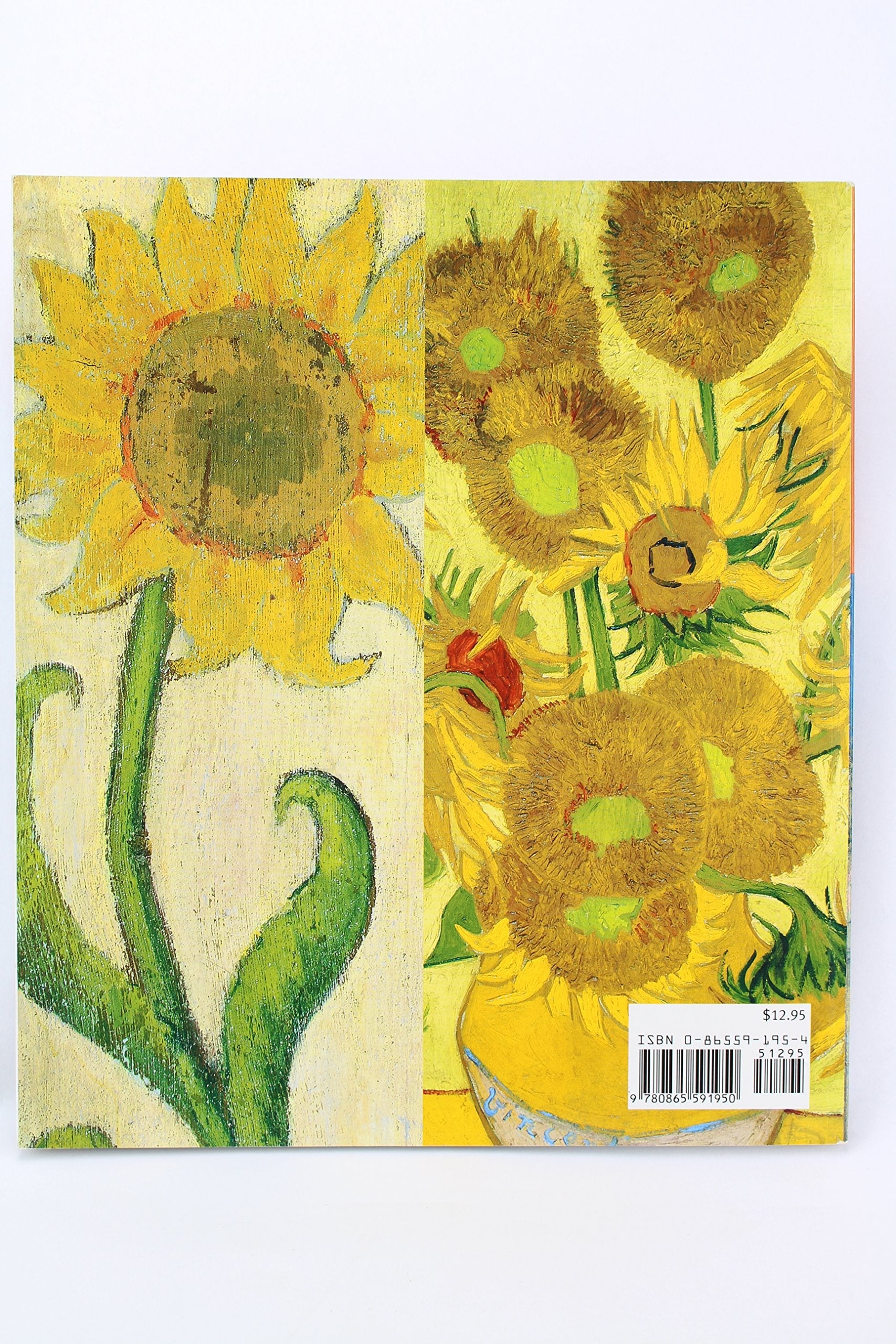 Van Gogh and Gauguin: The Studio of the South used book depot