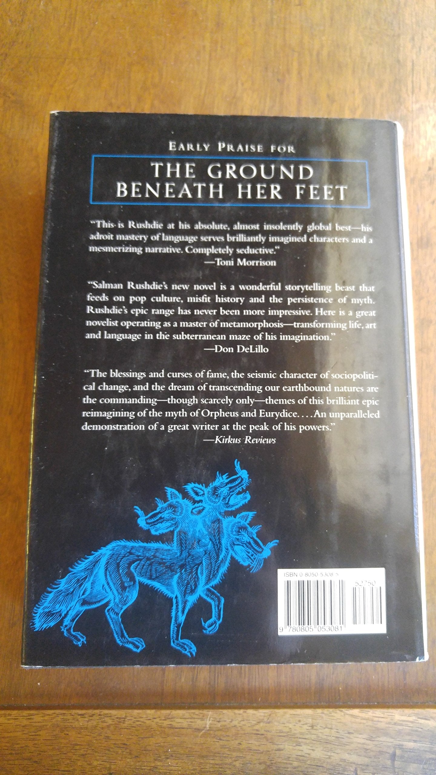The Ground Beneath Her Feet: A Novel used book depot