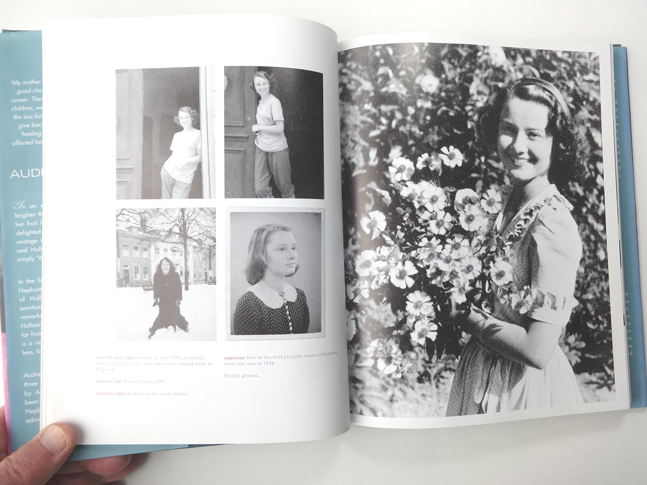 Audrey Hepburn, An Elegant Spirit: A Son Remembers used book depot