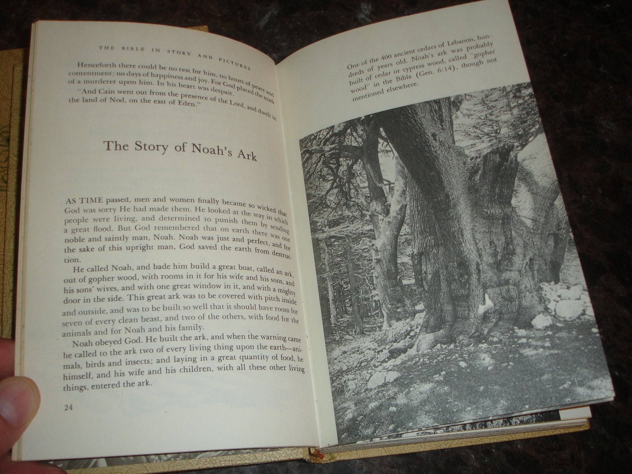 The Bible in Story and Pictures 2 Volume Set 1956 used book depot