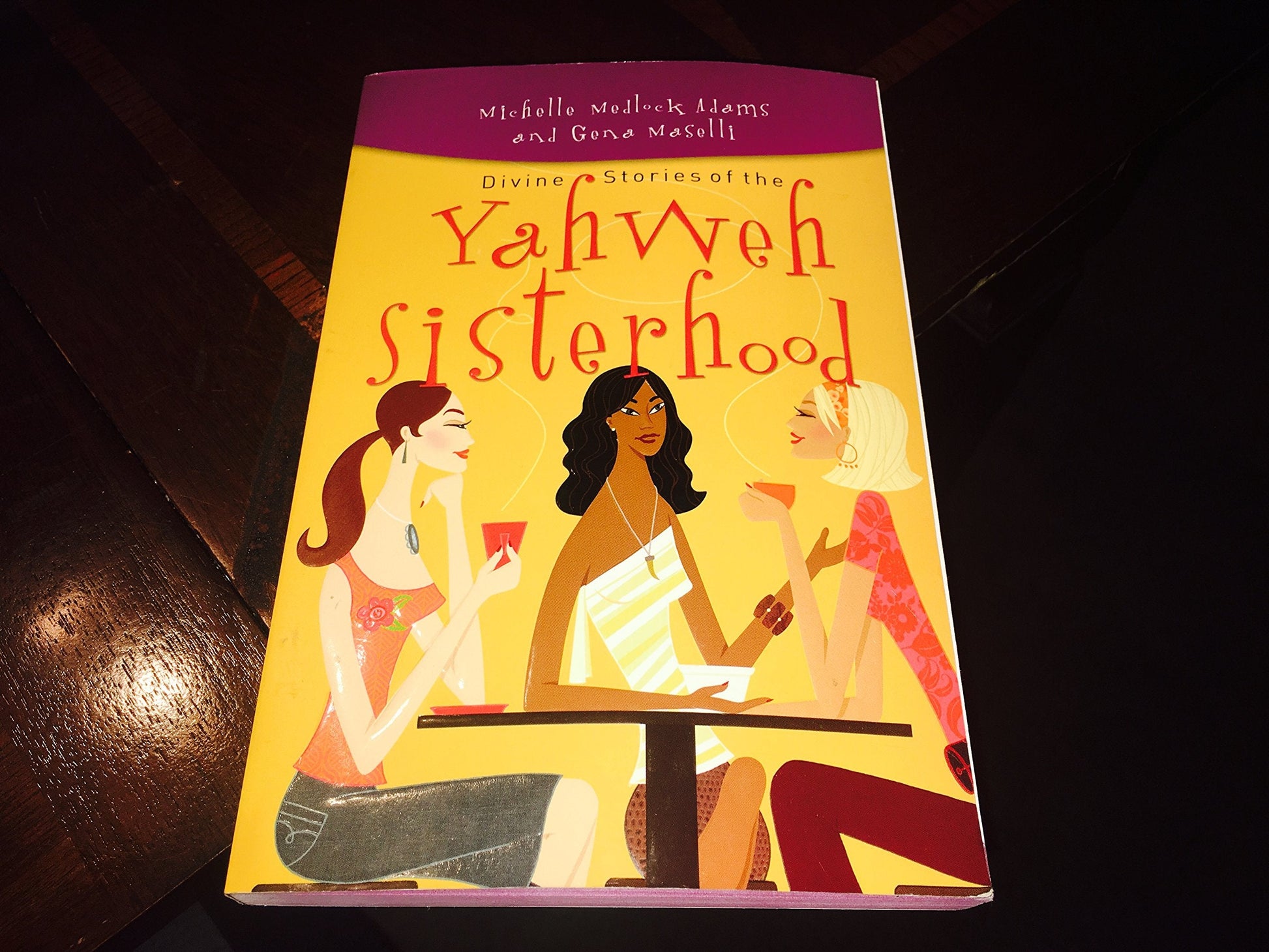 Divine Stories of the Yahweh Sisterhood used book depot