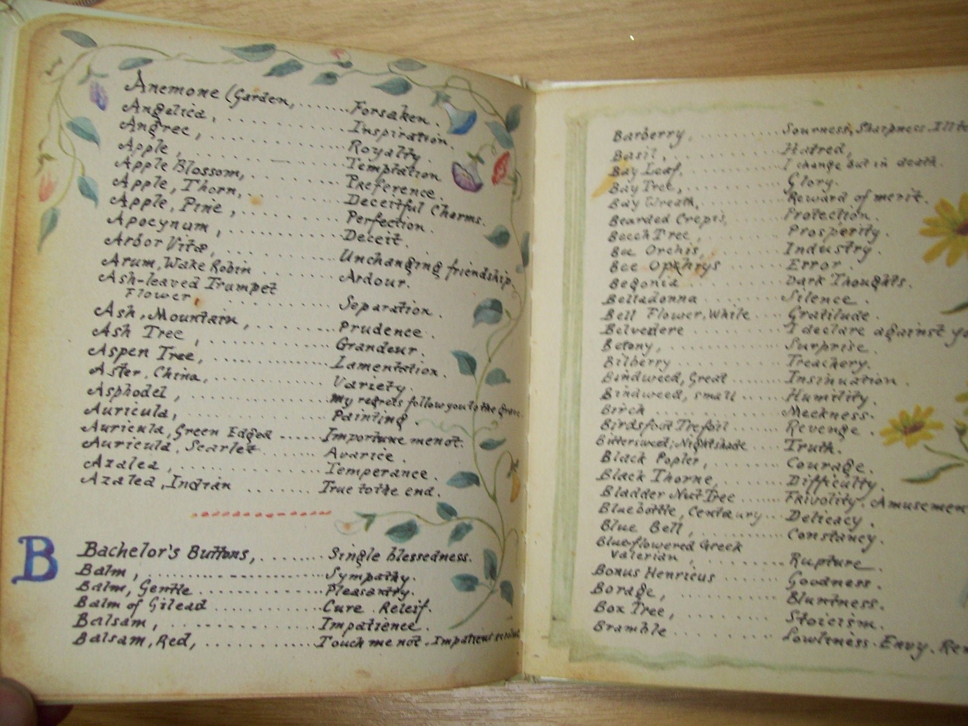 The Language of Flowers used book depot