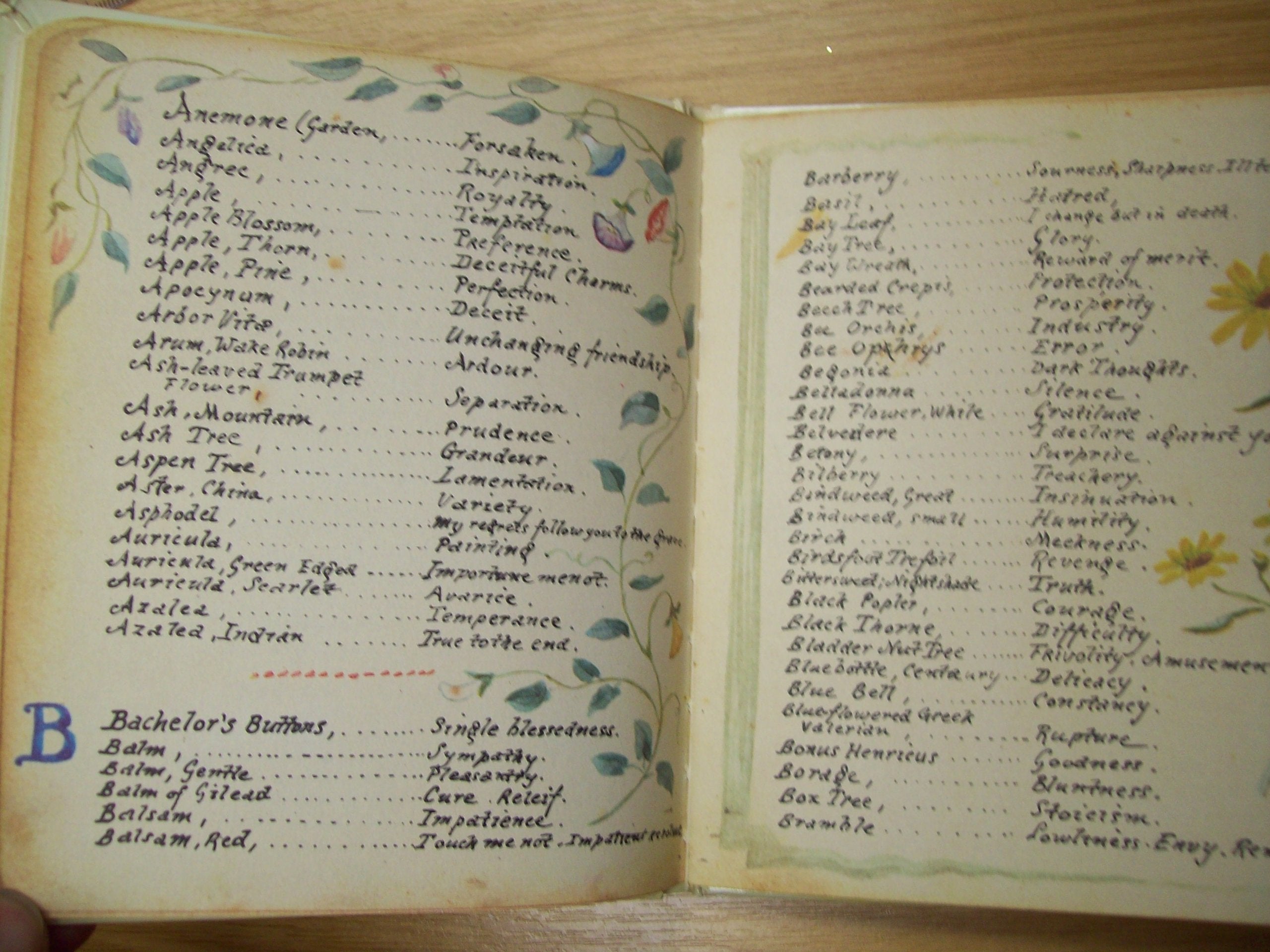 The Language of Flowers used book depot