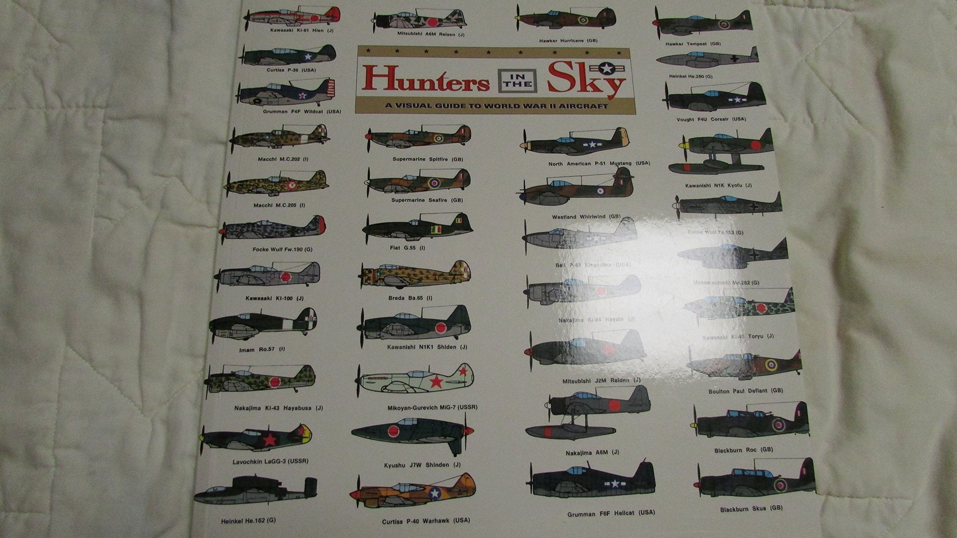 Hunters in the Sky: A Visual Guide to World War II Aircraft used book depot