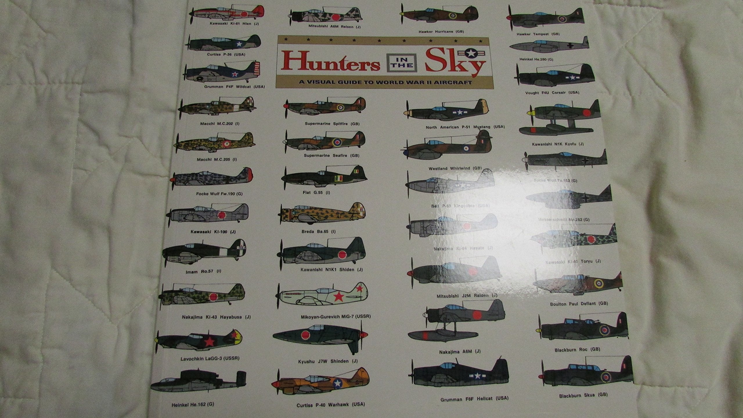 Hunters in the Sky: A Visual Guide to World War II Aircraft used book depot