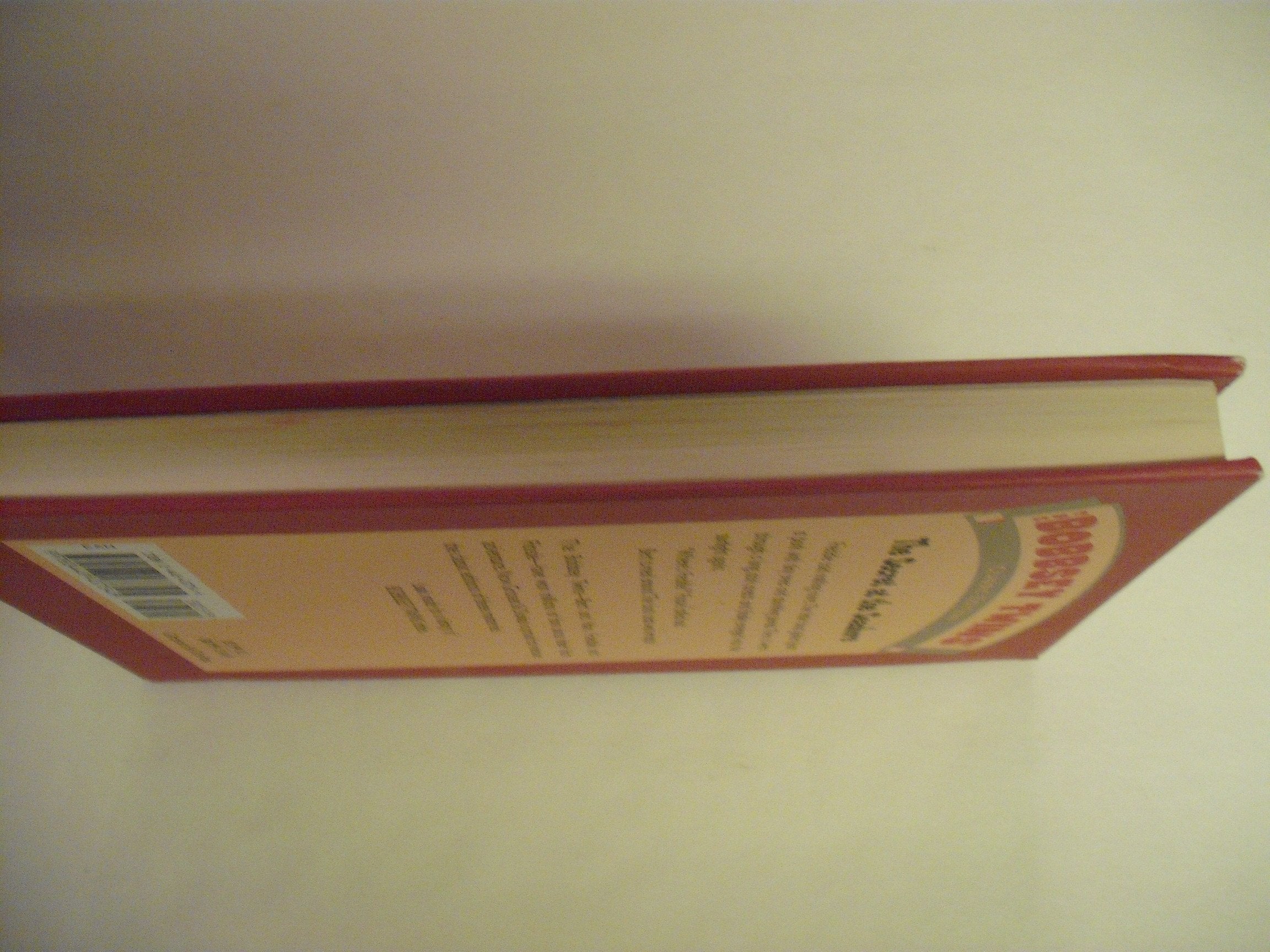 The Secret at the Seashore (Bobbsey Twins #3) used book depot