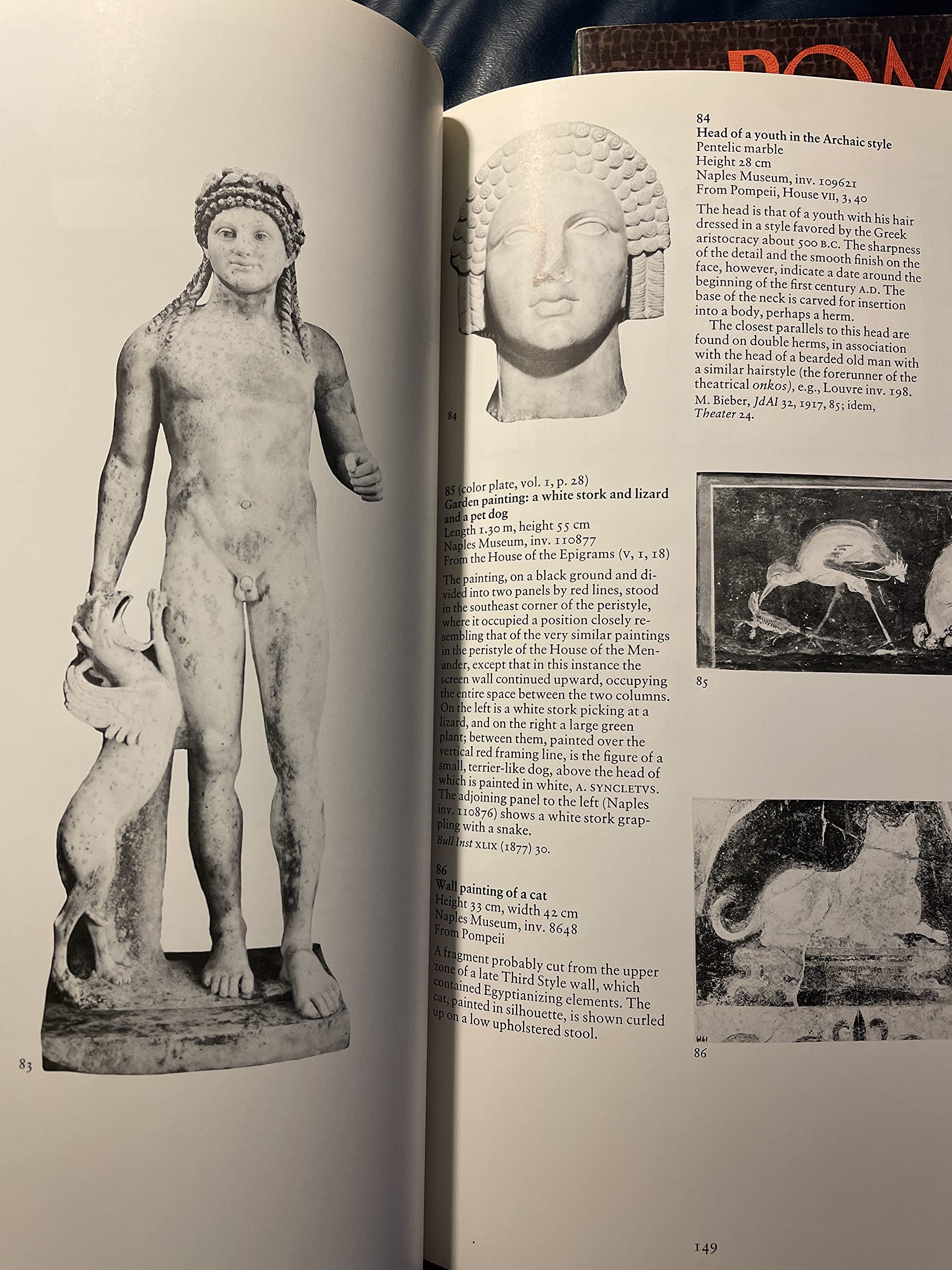 Pompeii A.D. 79: Treasures from the National Archaeological Museum, Naples, and the Pompeii Antiquarium (Volumes I and II) used book depot