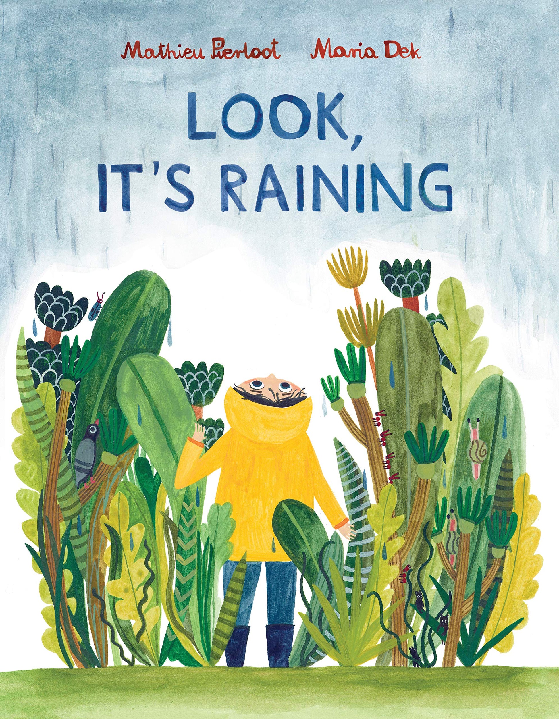 Look, It's Raining: (rainy day inspiration for kids, ages 3-6, encourages exploration and independence) used book depot