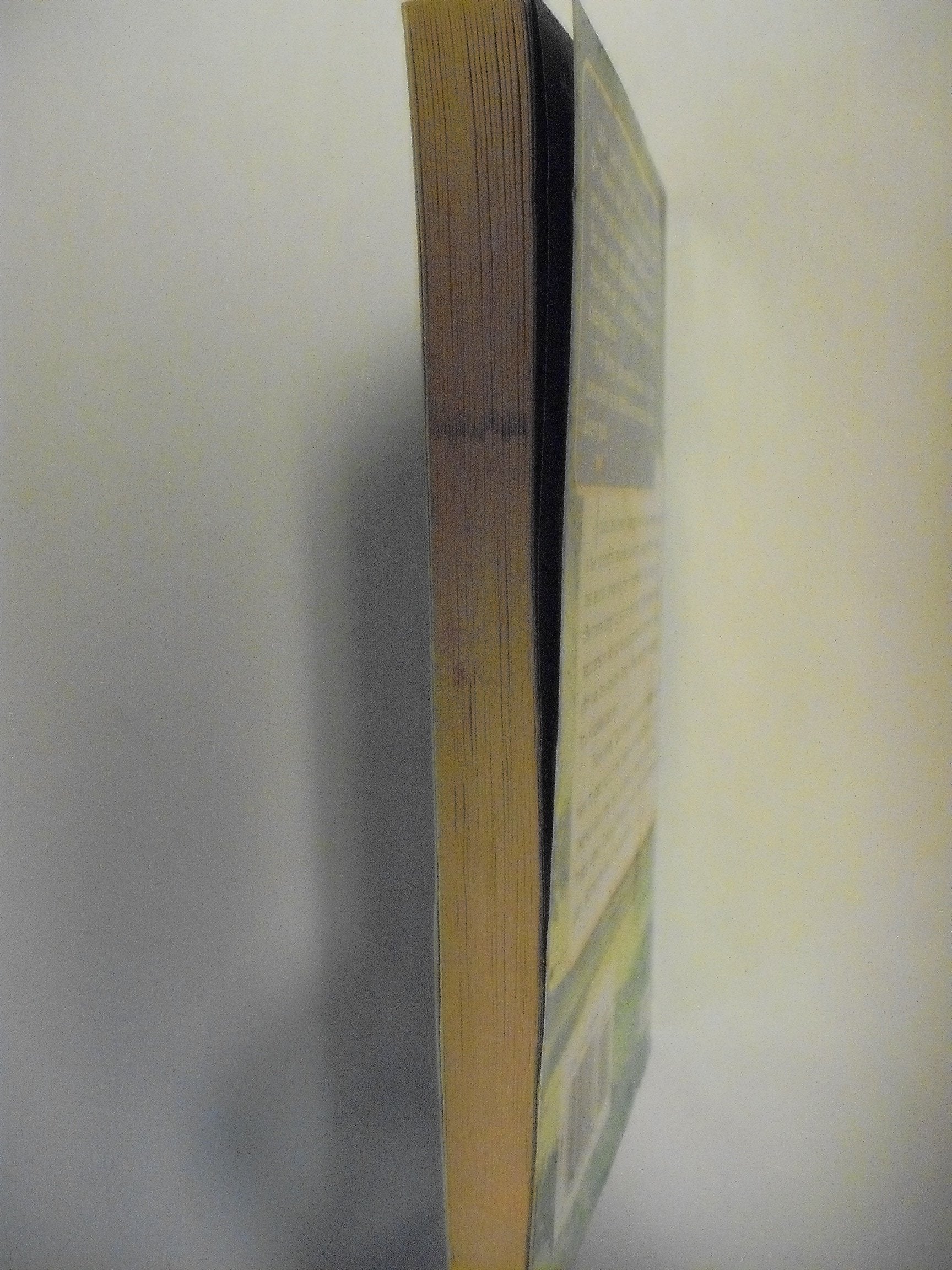 The Illusion (Animorphs #33) used book depot