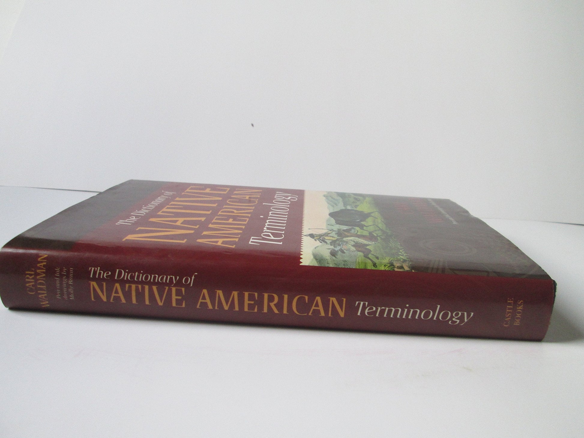 The Dictionary of Native American Terminology used book depot