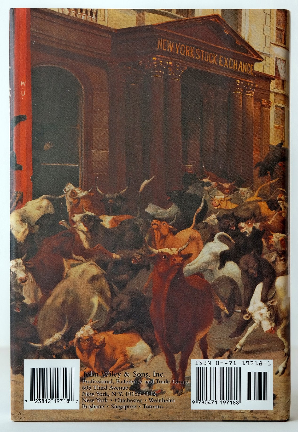 The Bear Book used book depot