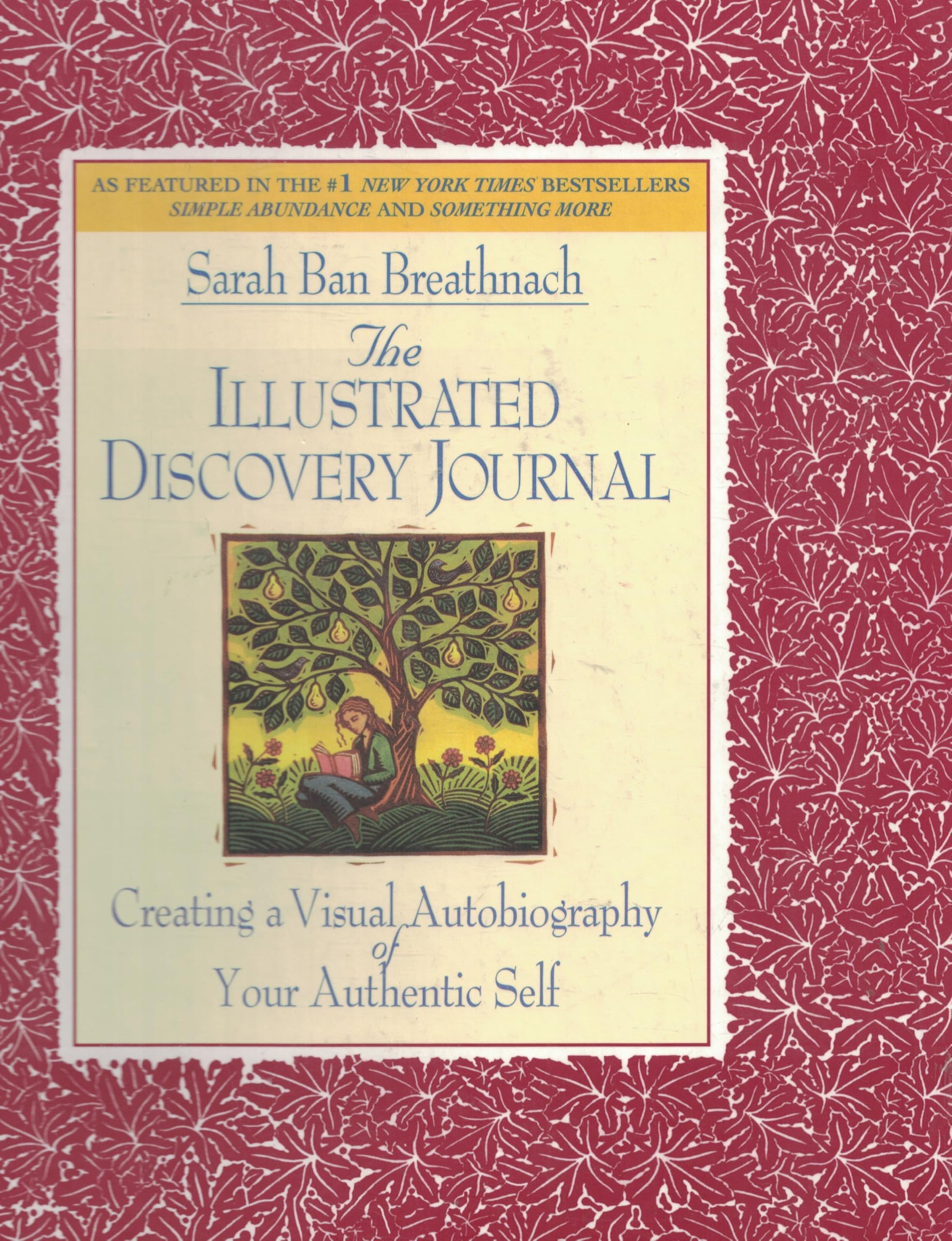 The Illustrated Discovery Journal: Creating a Visual Autobiography of Your Authentic Self used book depot