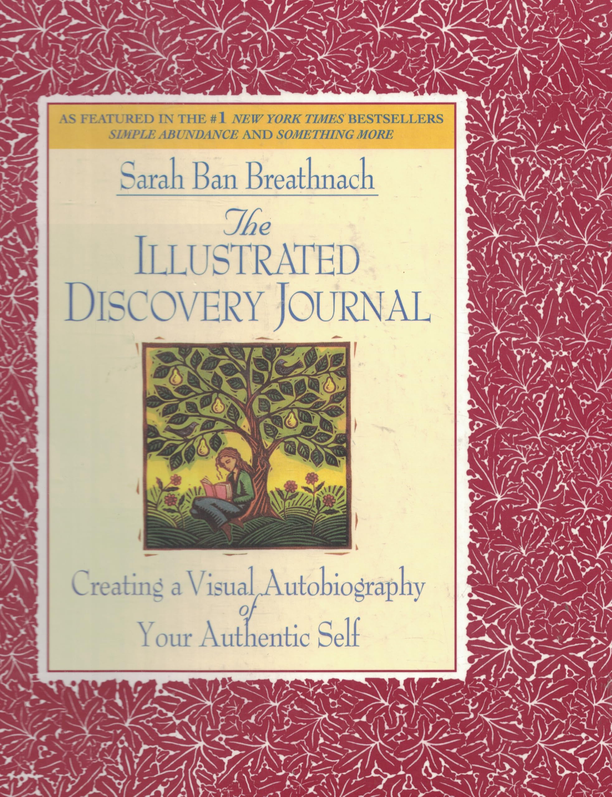 The Illustrated Discovery Journal: Creating a Visual Autobiography of Your Authentic Self used book depot