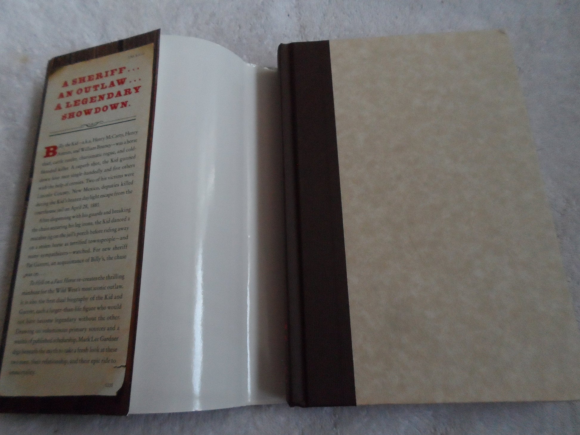 To Hell on a Fast Horse: Billy the Kid, Pat Garrett, and the Epic Chase to Justice in the Old West used book depot