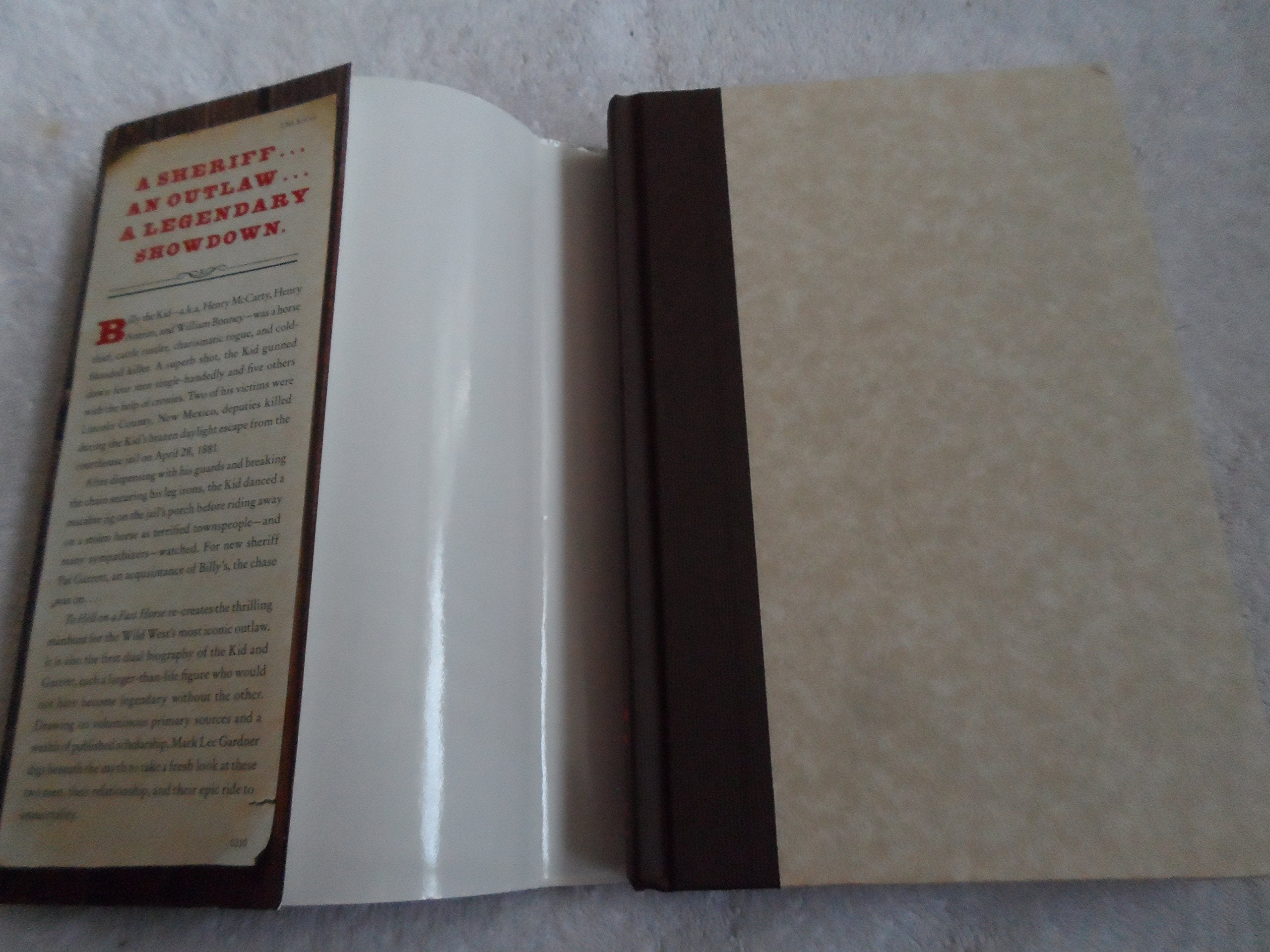 To Hell on a Fast Horse: Billy the Kid, Pat Garrett, and the Epic Chase to Justice in the Old West used book depot