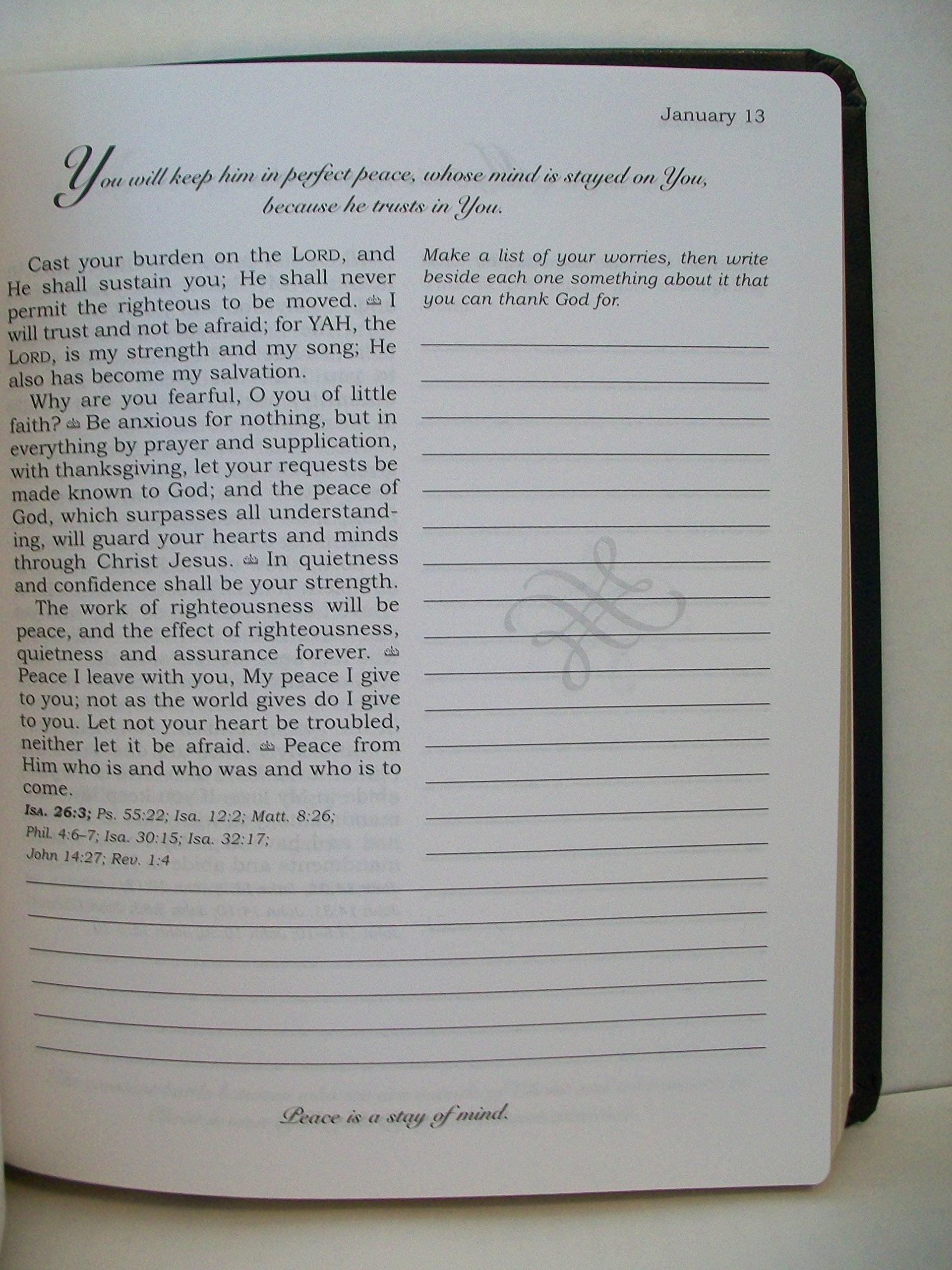 Daily Light Journal used book depot