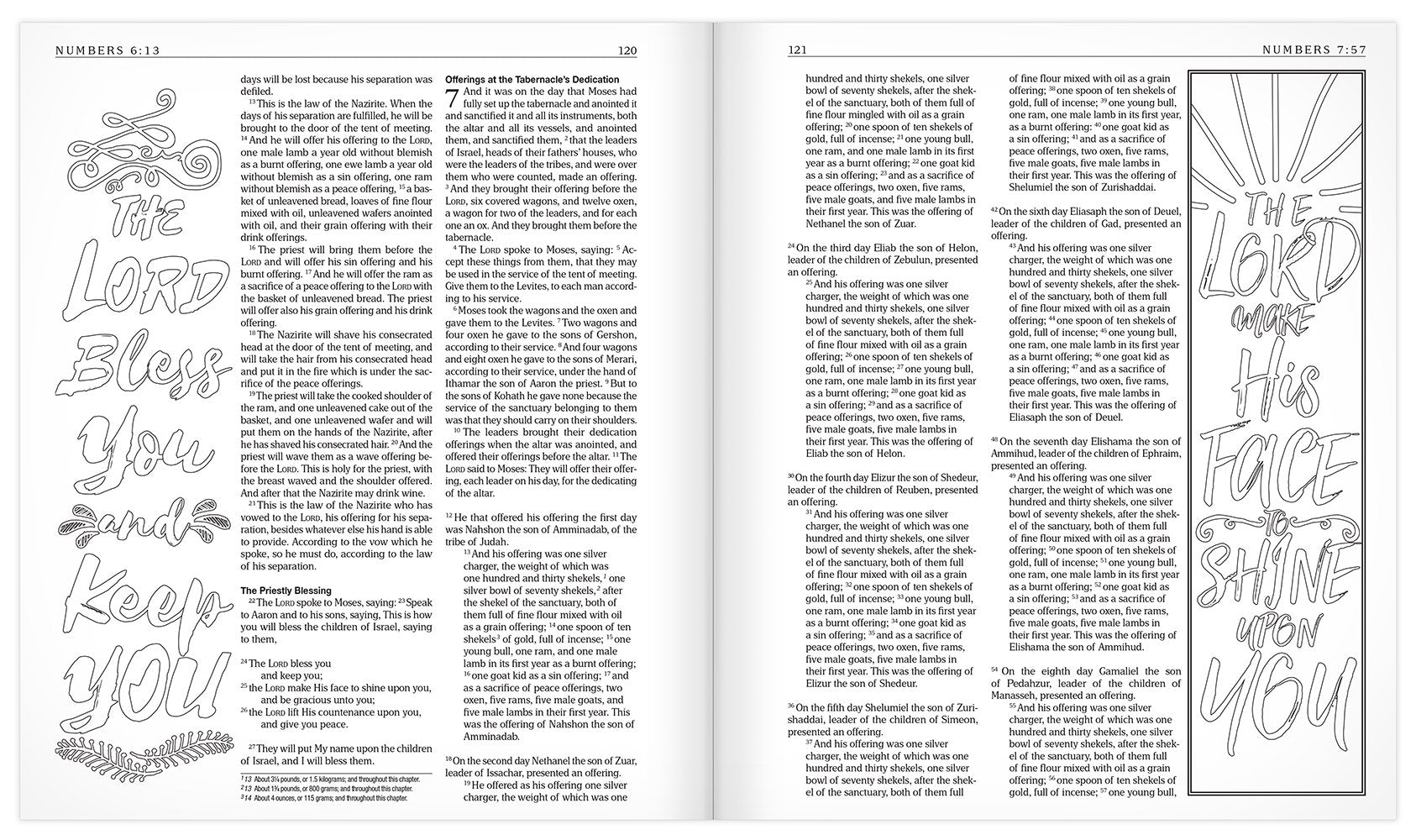 The MEV Promises of God Creative Journaling Bible: Modern English Version used book depot