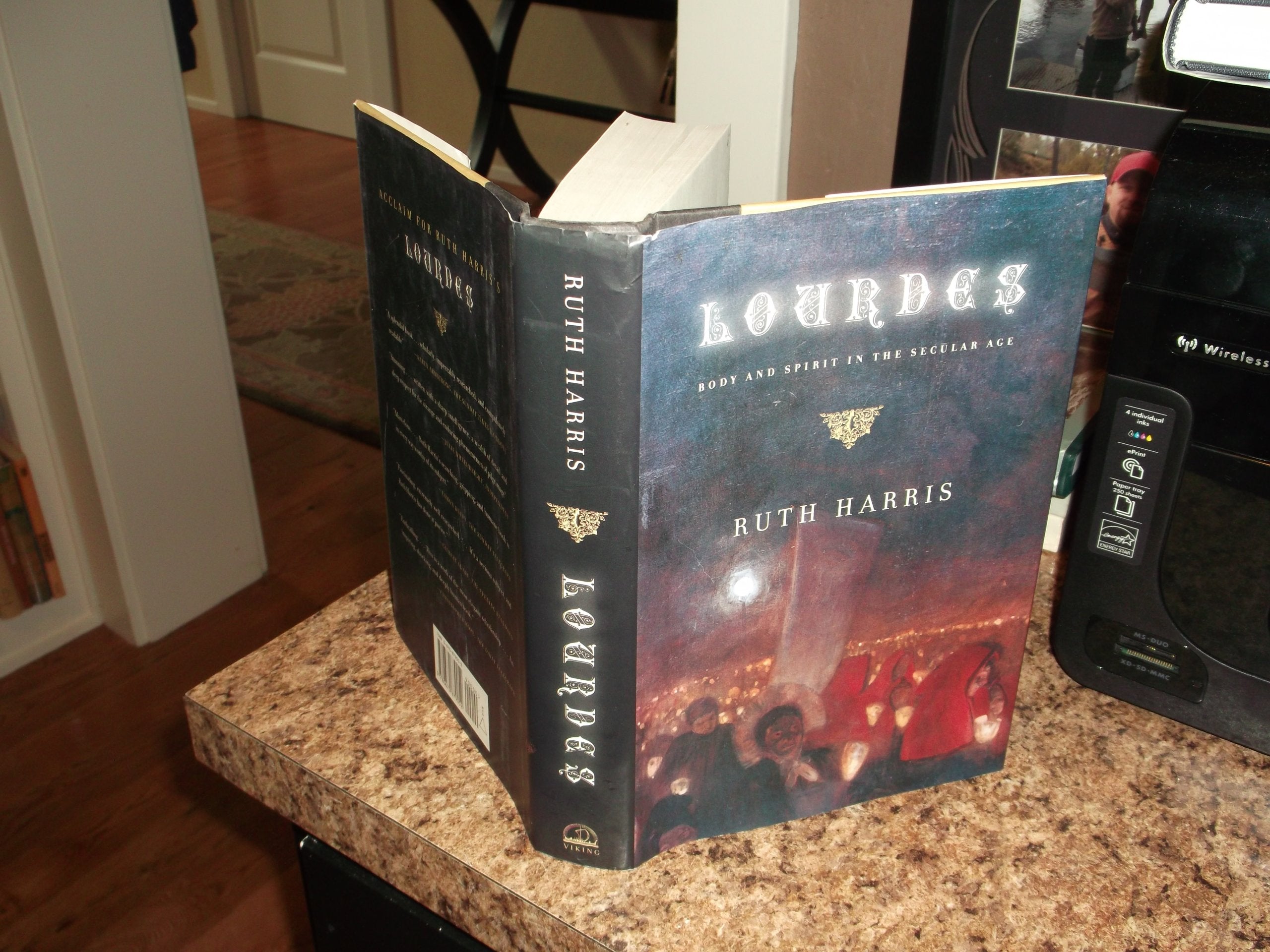 Lourdes: Body and Spirit in the Secular Age used book depot