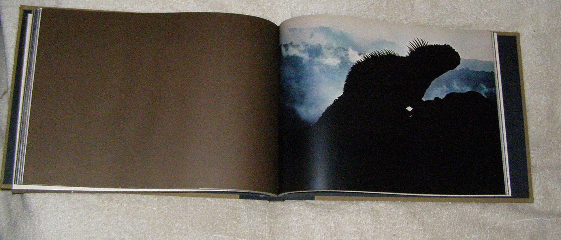 The Creation (A Studio Book) used book depot