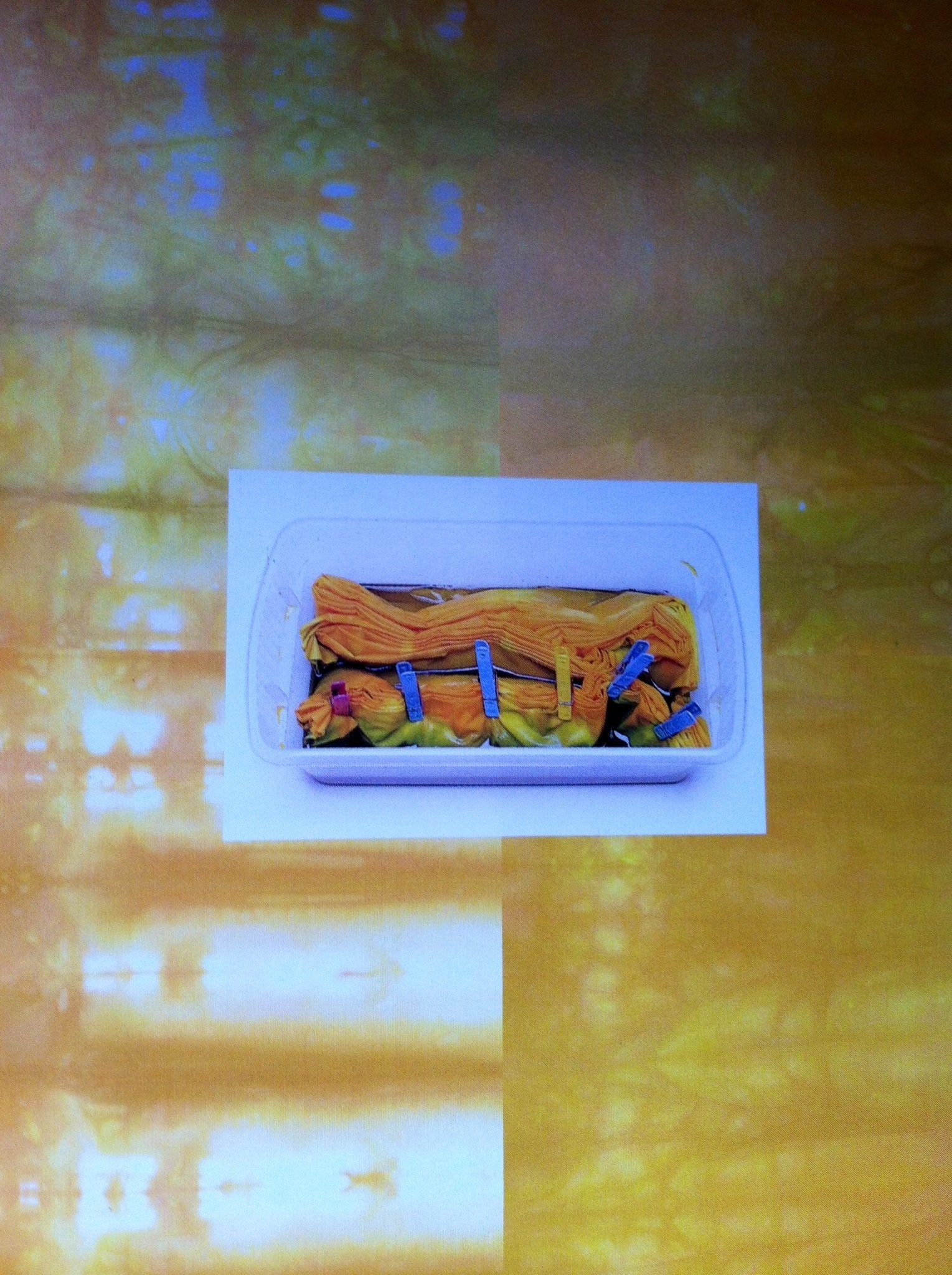 Color by Accident: Low-Water Immersion Dyeing used book depot