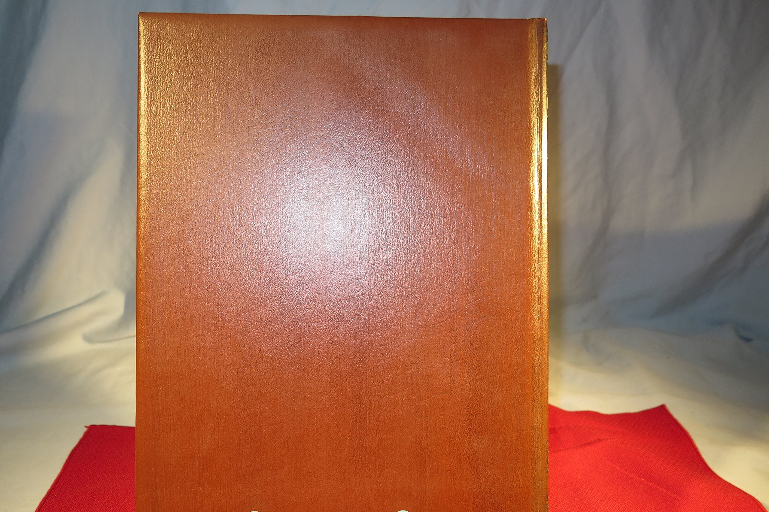 The Railroaders (Old West)