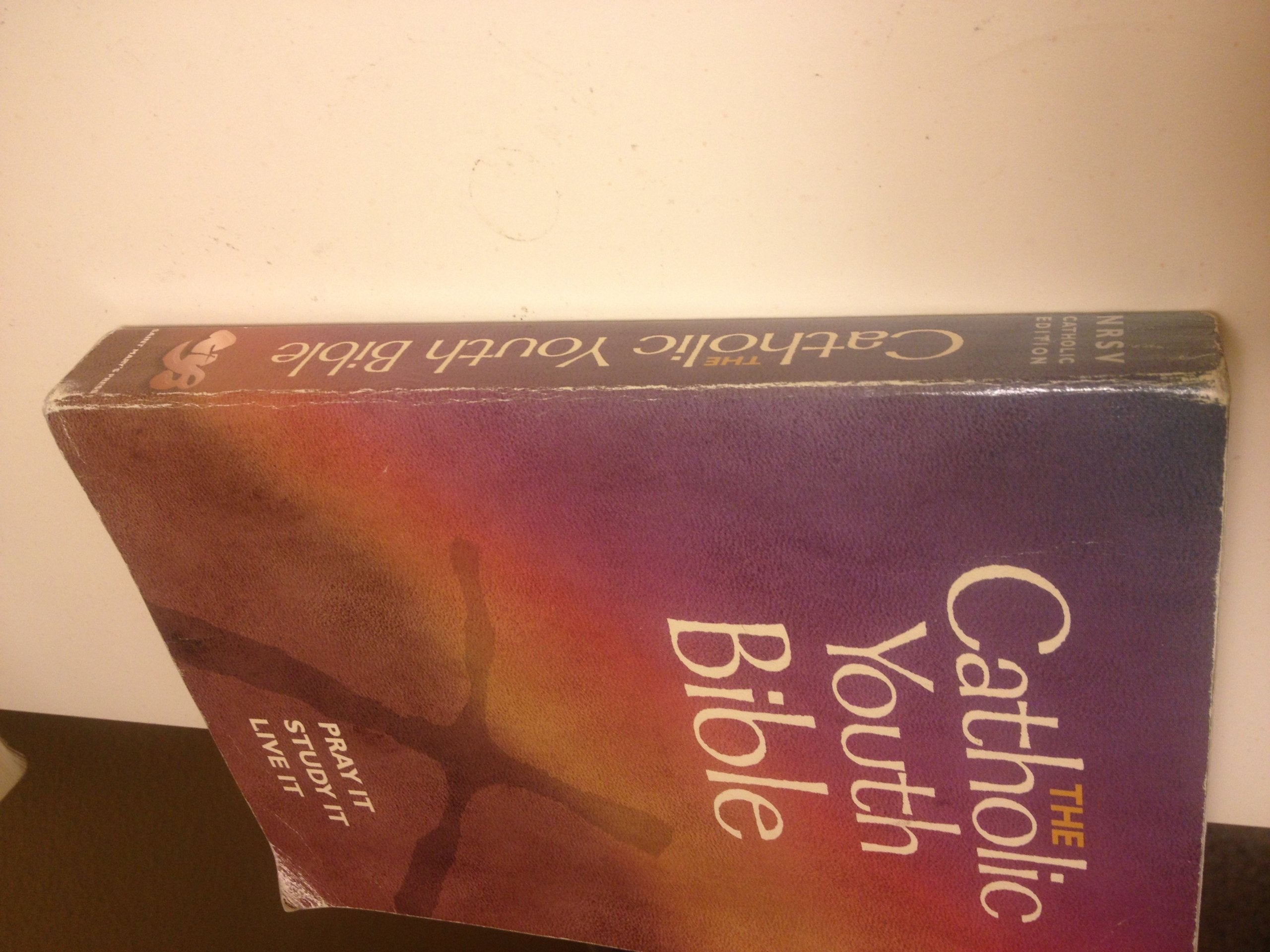 The Catholic Youth Bible: New Revised Standard Version : Catholic Edition used book depot