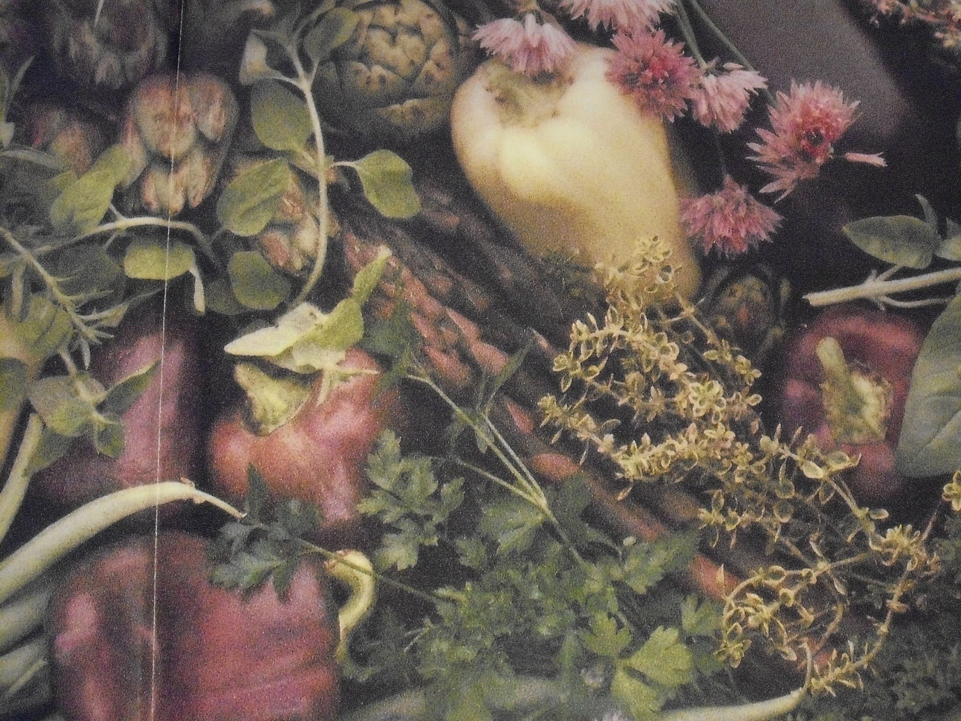 Herbs: A Country Garden Cookbook used book depot