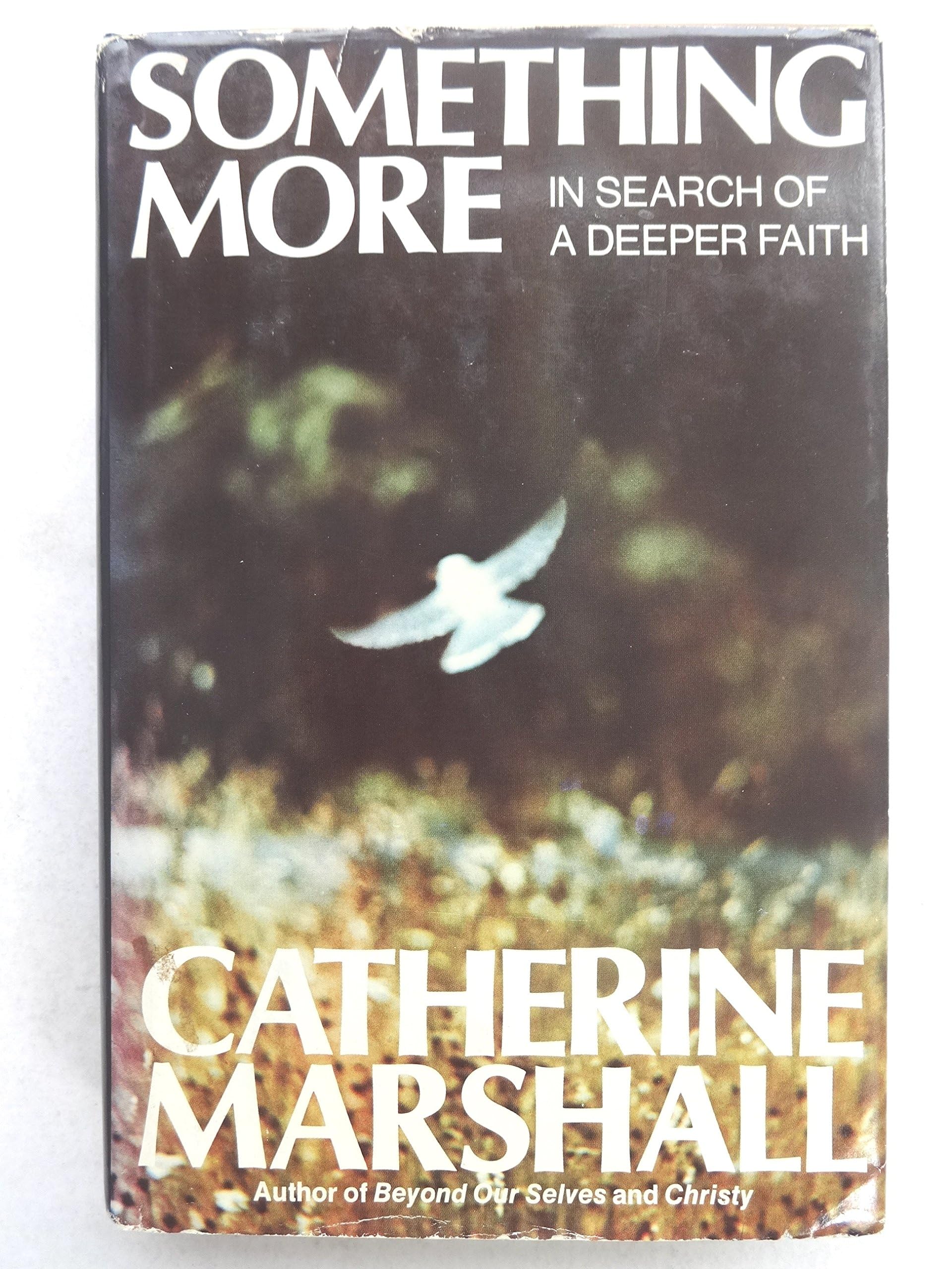 Something More: In Search of A Deeper Faith used book depot