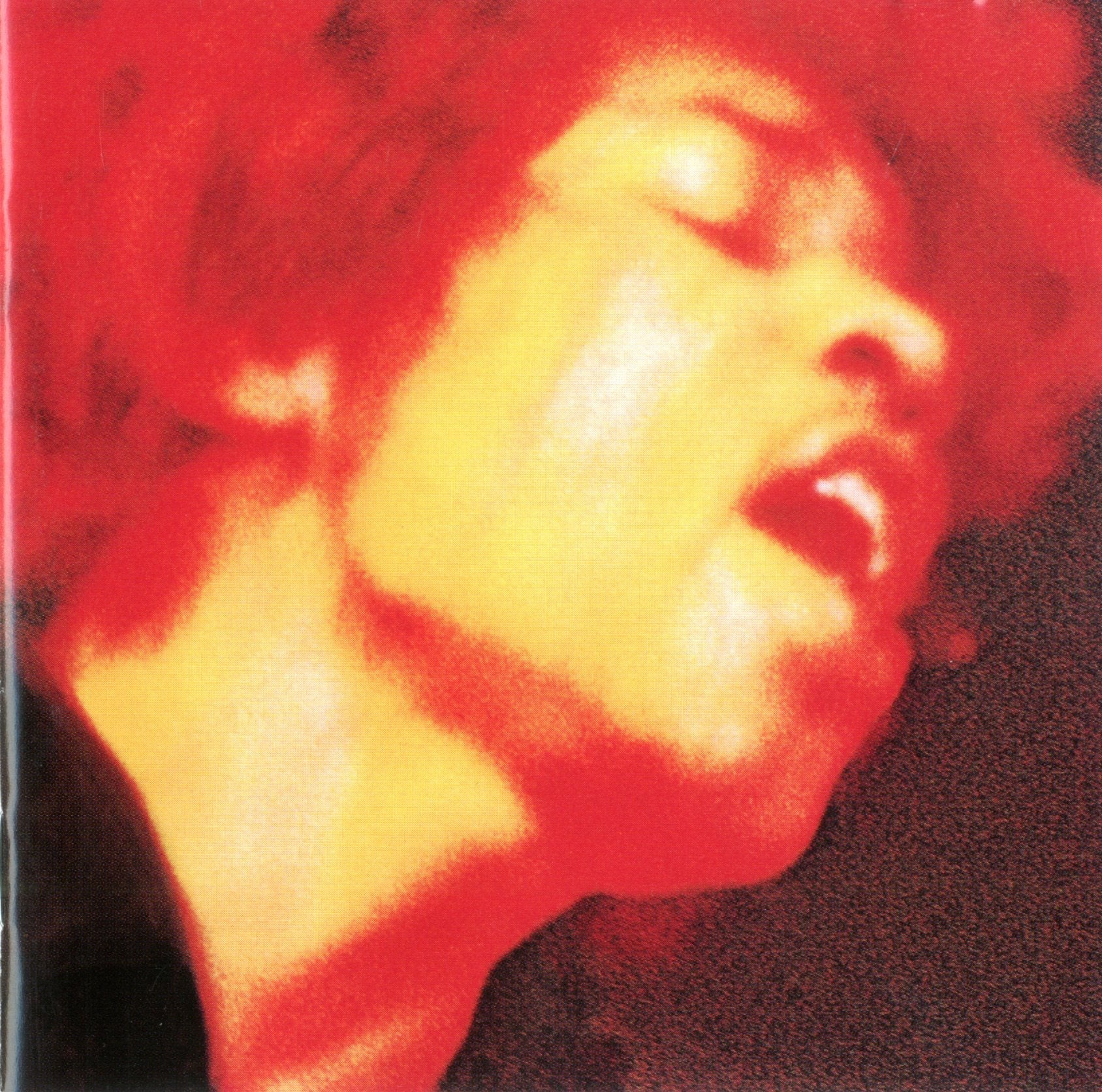 Electric Ladyland used book depot