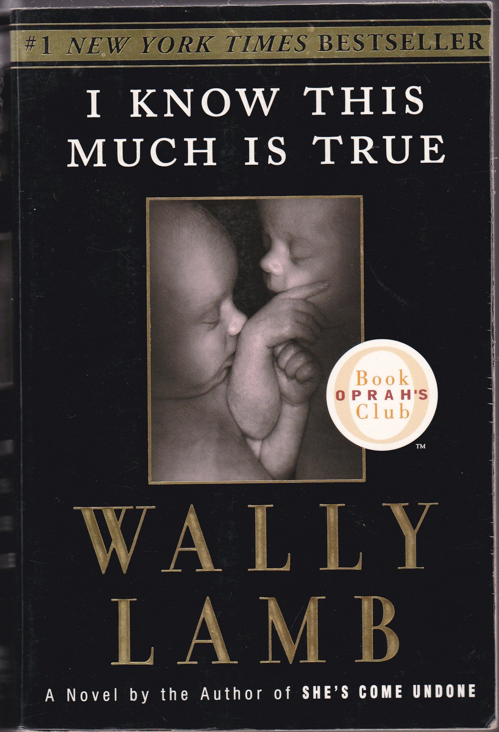 I Know This Much Is True (Oprah's Book Club) used book depot