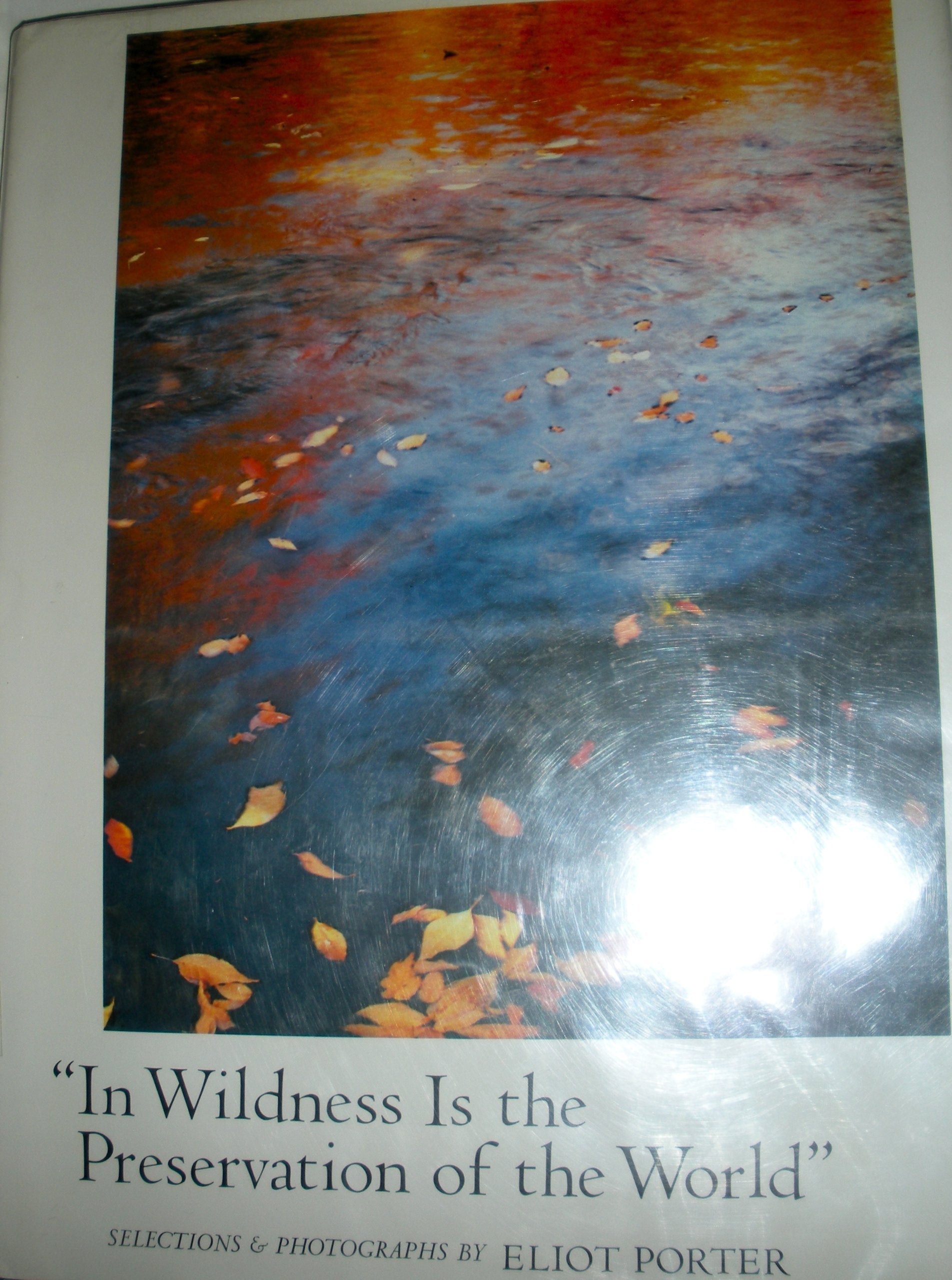 In Wildness is the Preservation of the World used book depot