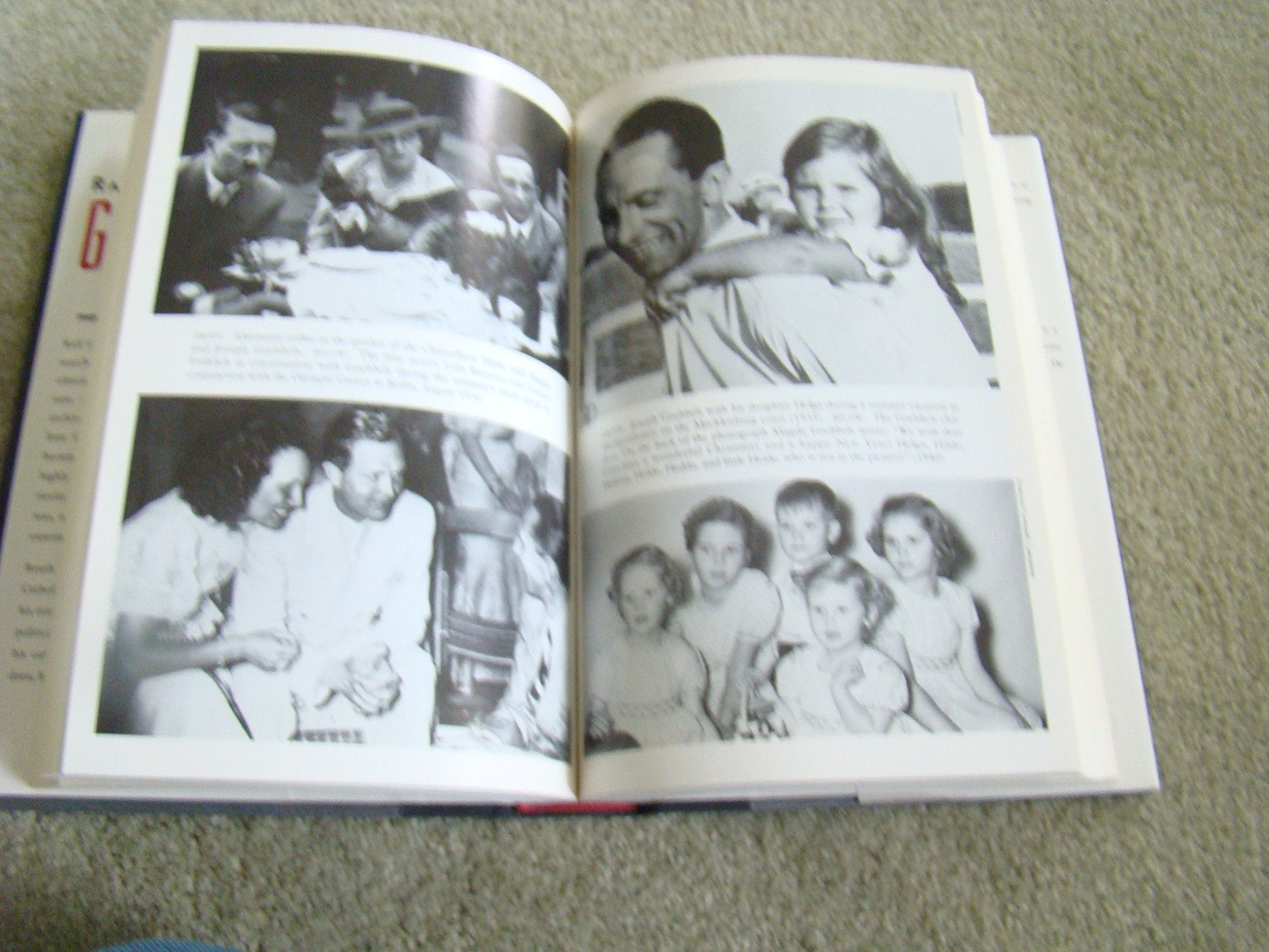 Goebbels used book depot