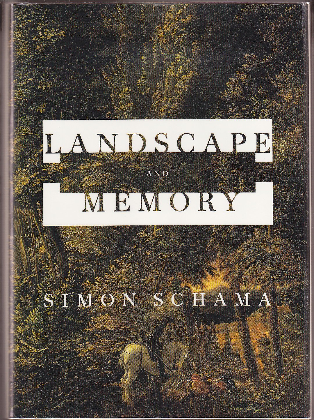 Landscape And Memory used book depot