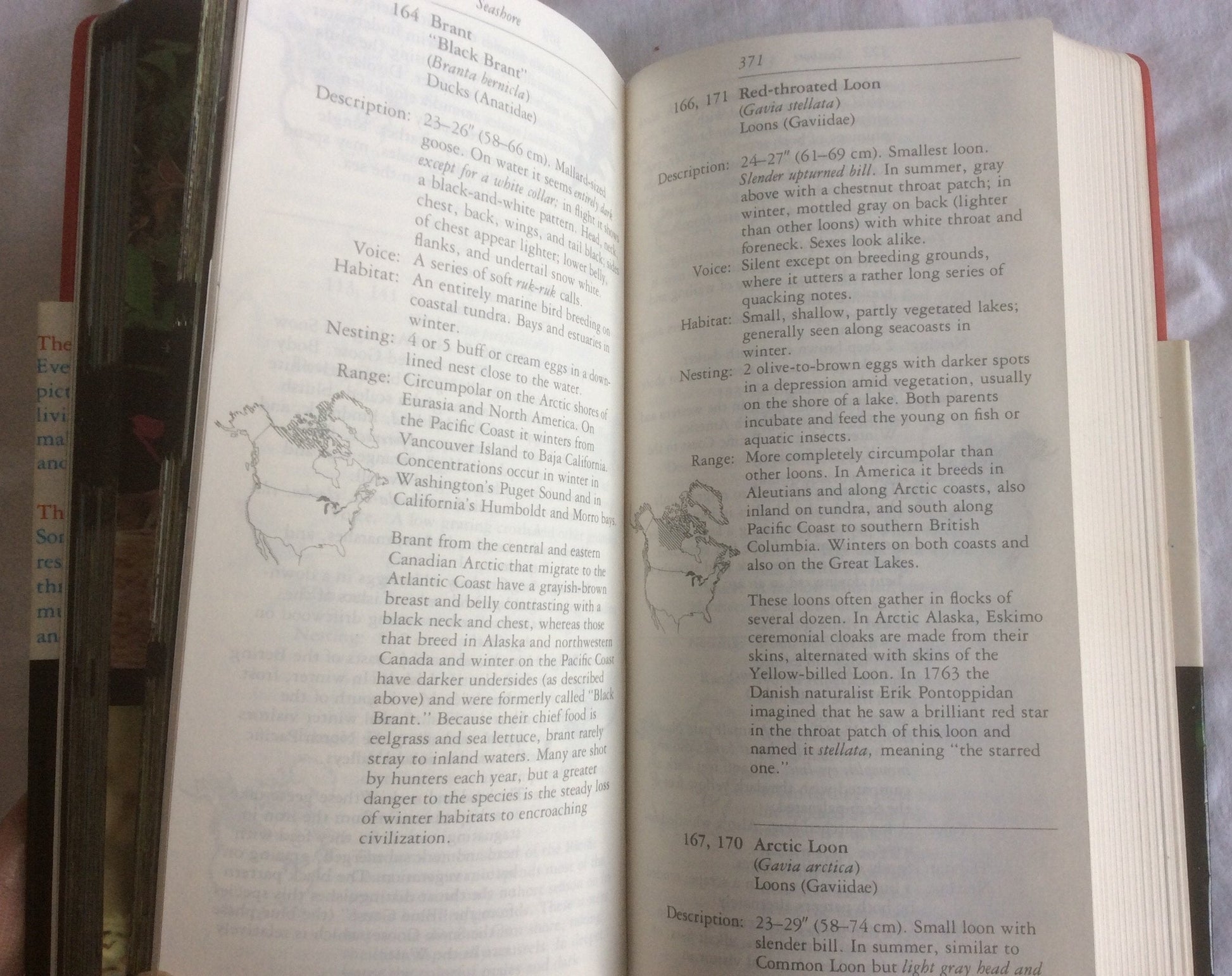 The Audubon Society Field Guide to North American Birds: Western Region (Audubon Society Field Guide Series) used book depot