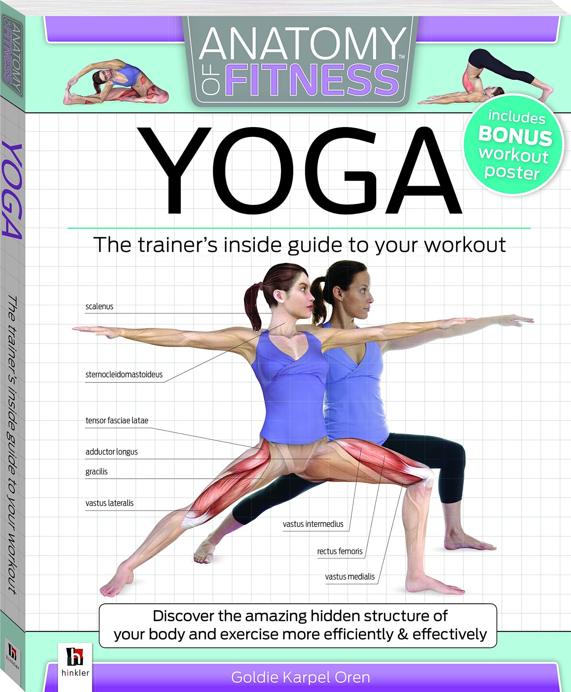 Anatomy of Fitness: Yoga used book depot