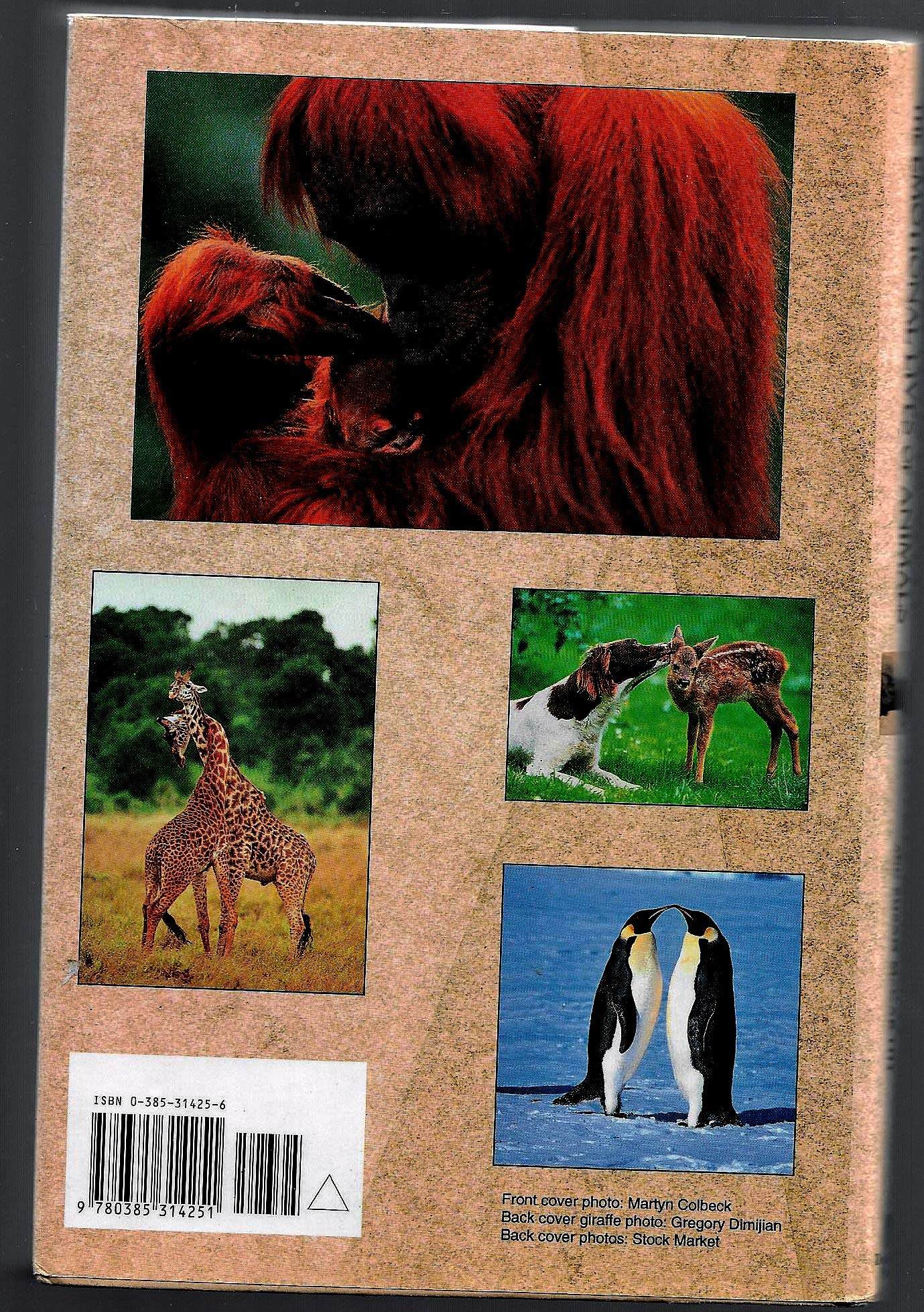 When Elephants Weep: The Emotional Lives of Animals used book depot