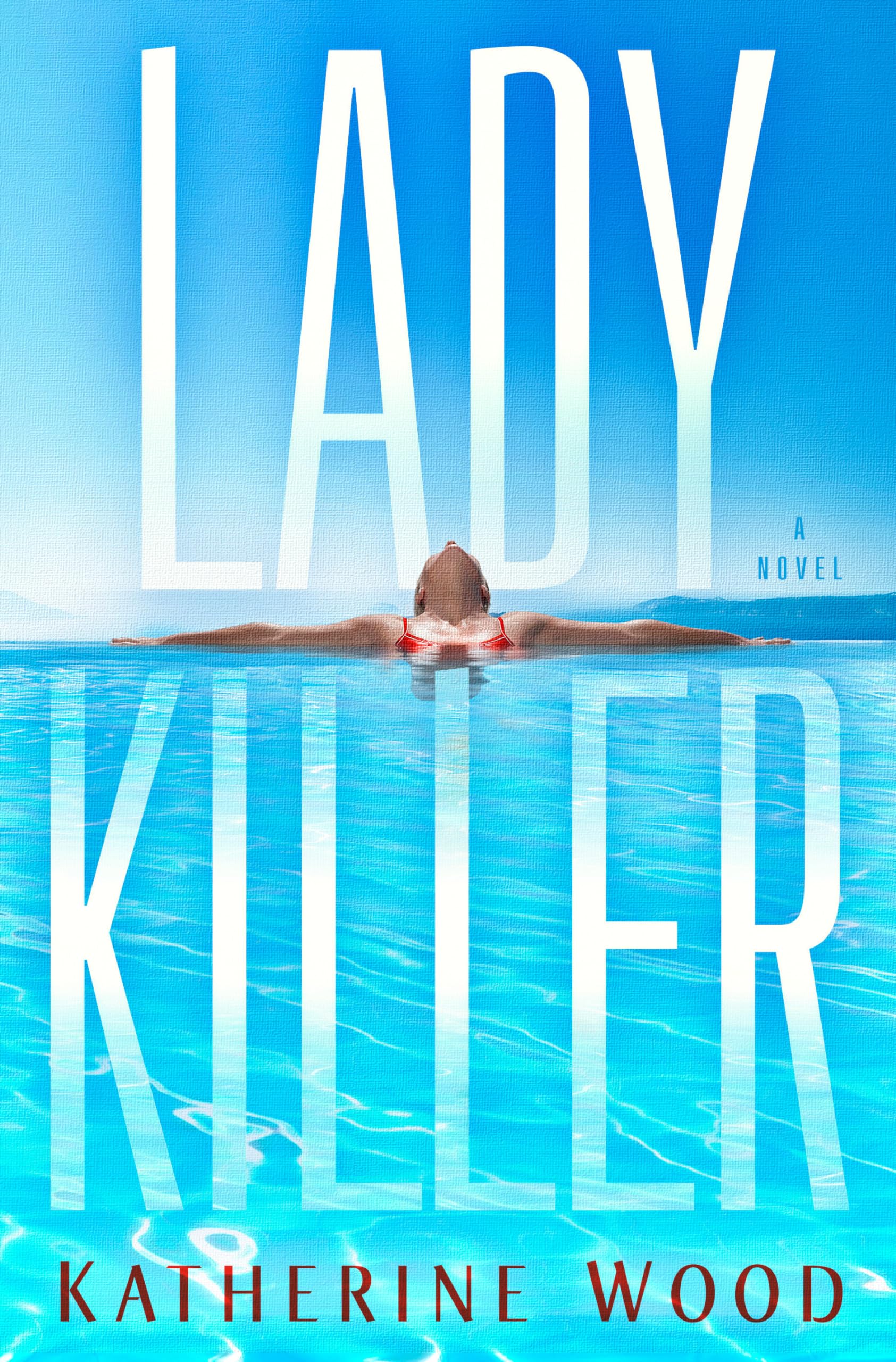 Ladykiller: A Novel used book depot