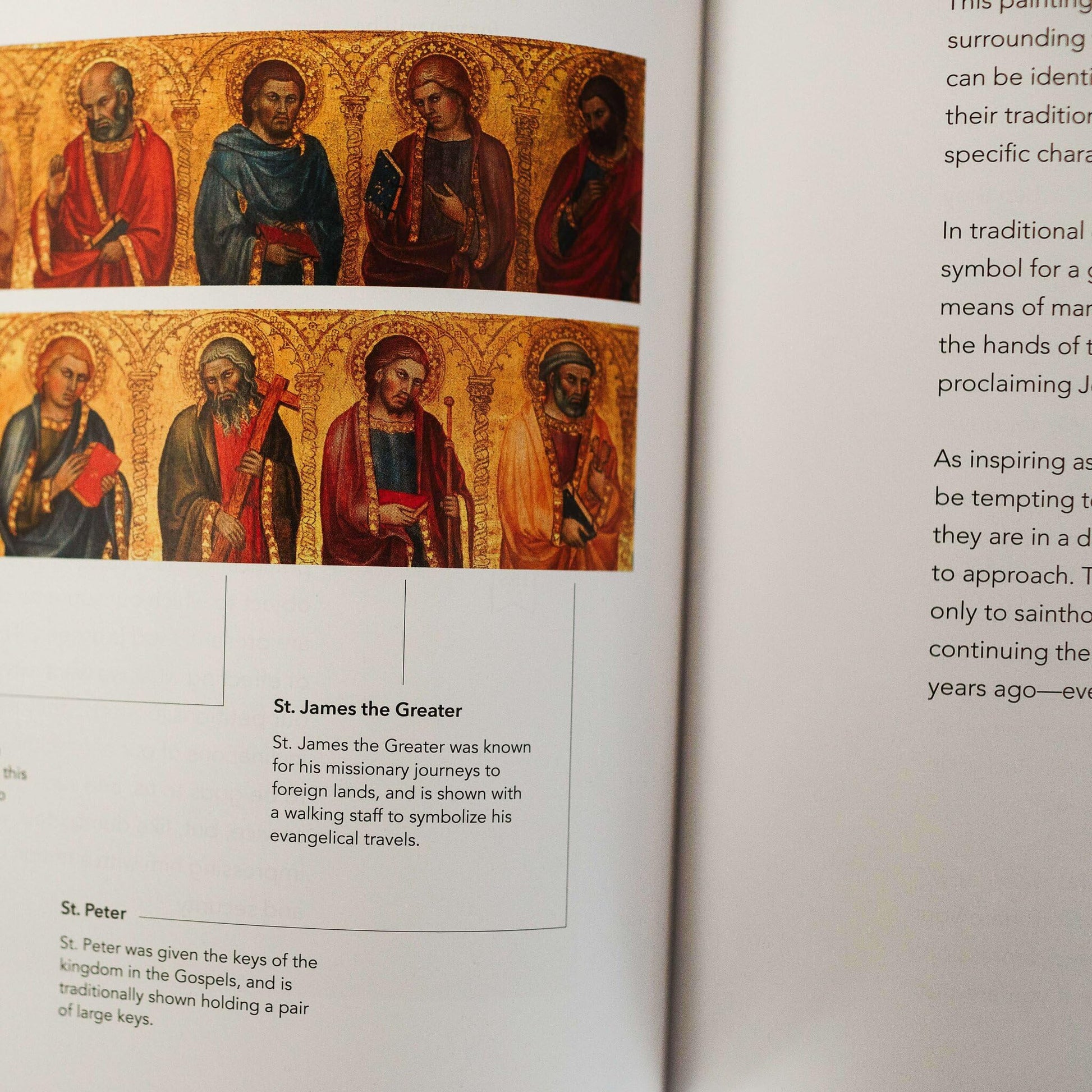 The Word on Fire Bible (Volume I): The Gospels (Leather) (Word on Fire Bible Series) used book depot