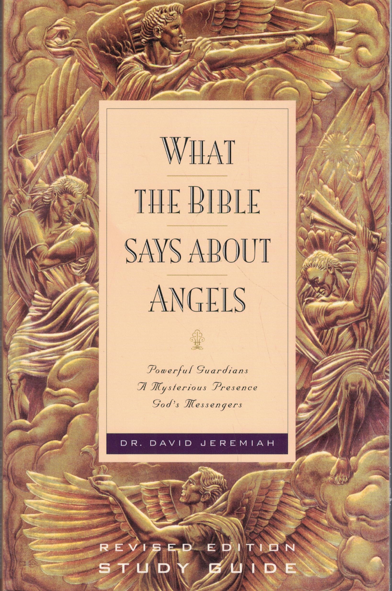 What the Bible Says about Angels used book depot