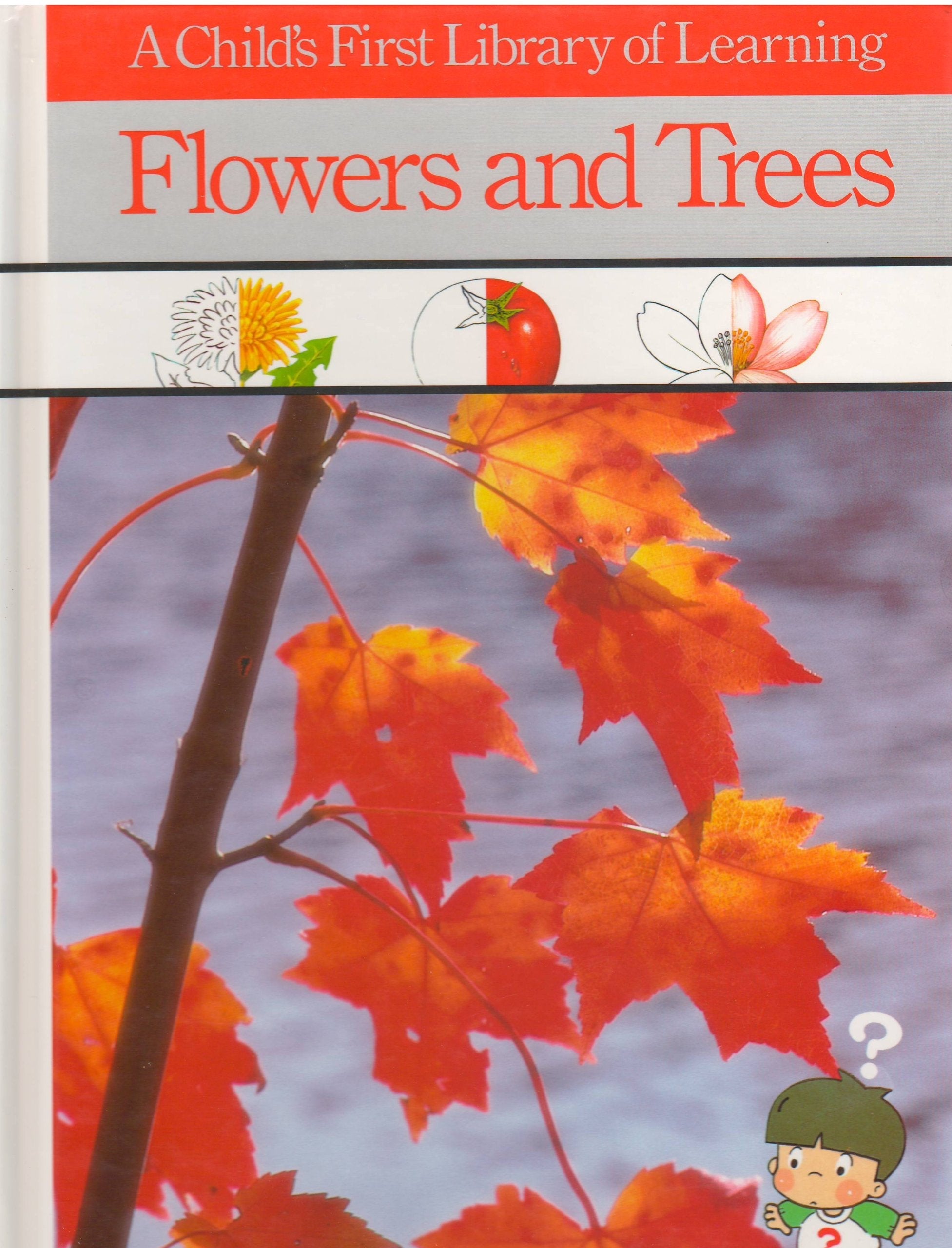 Flowers & Trees (Child's First Library of Learning) used book depot