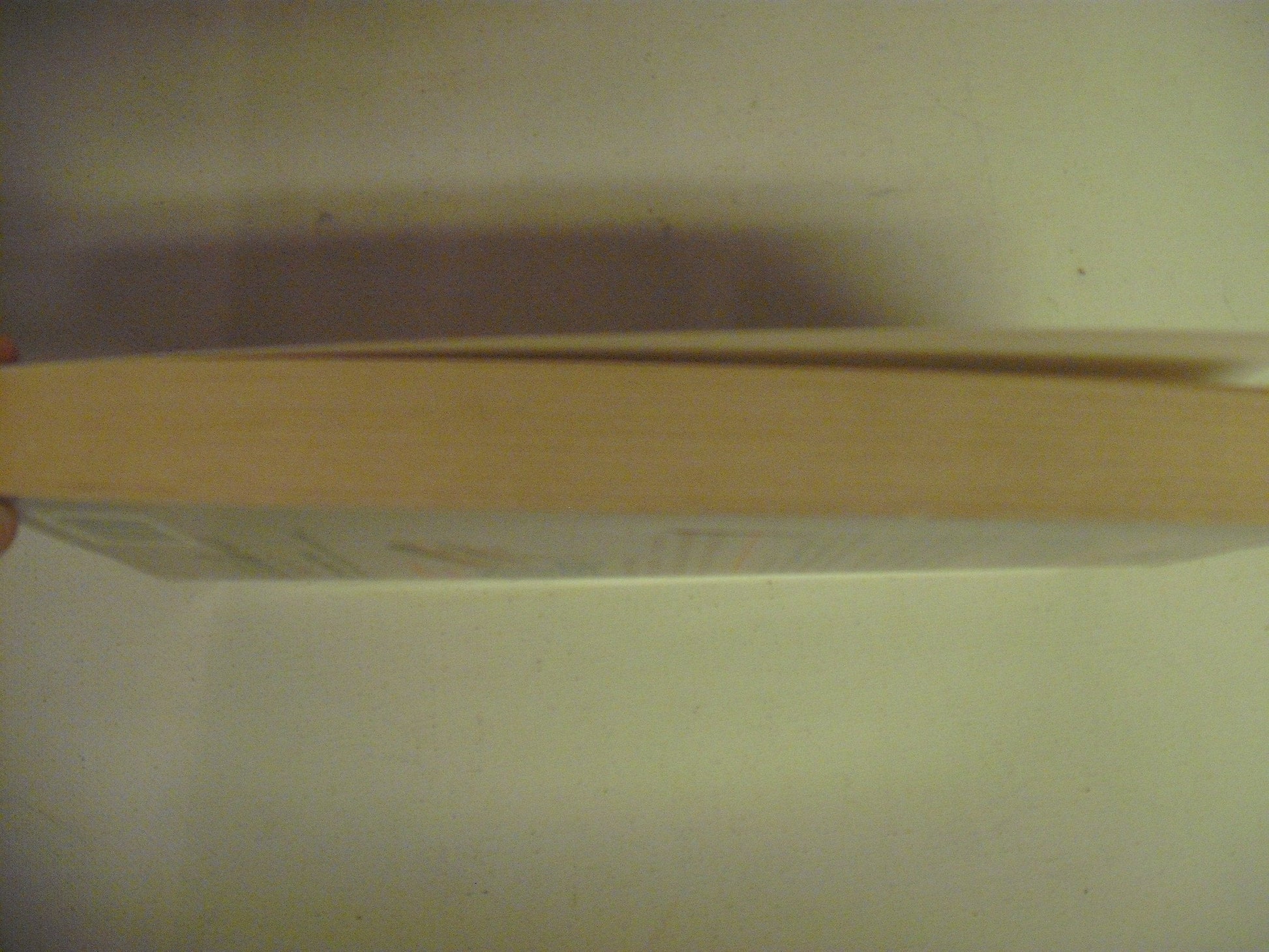 The Fisherman's Lady used book depot