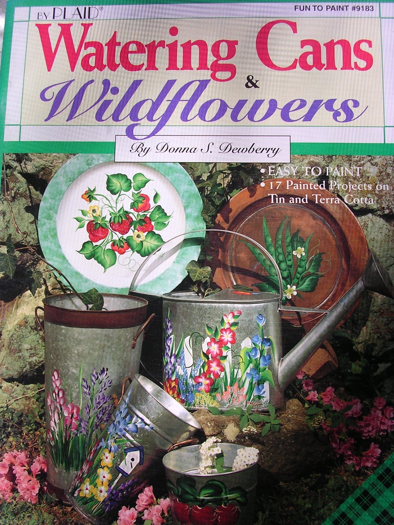 Watering Cans & Wildflowers (Plaid/Fun to Paint #9183) used book depot