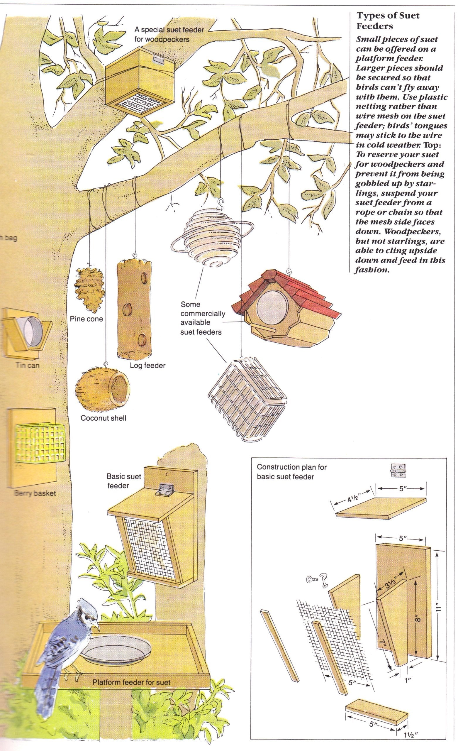 How to Attract Birds used book depot