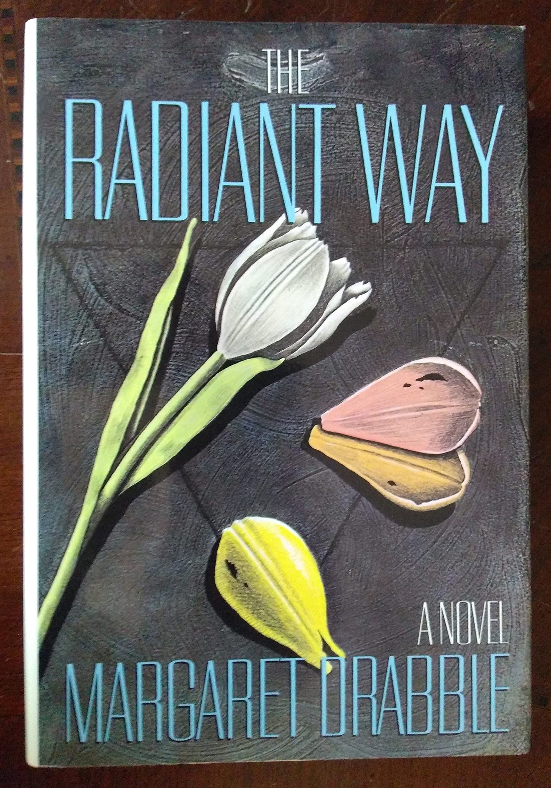 The Radiant Way used book depot